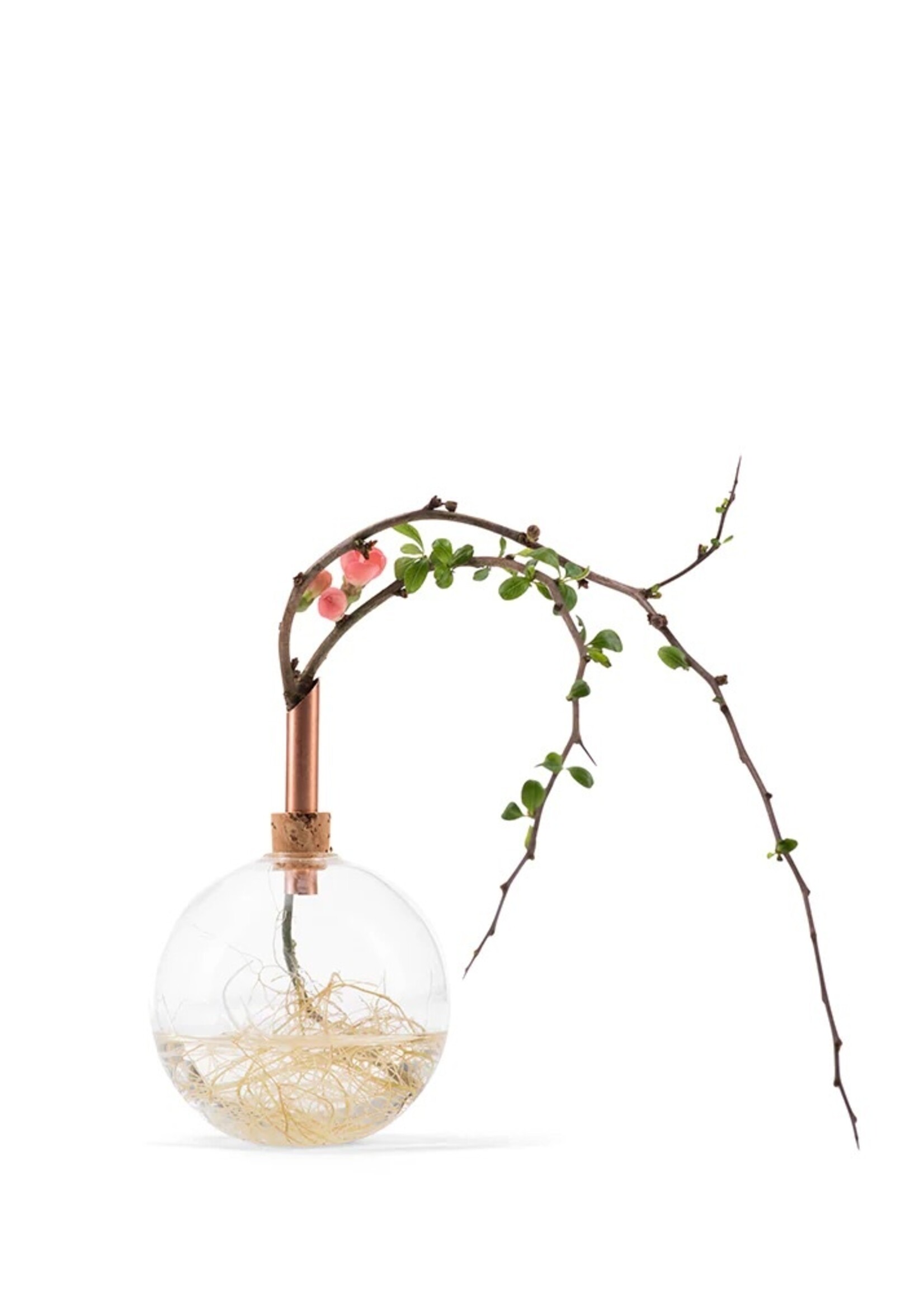 Scandinavia Form Scandinavia Form - Vaas glas