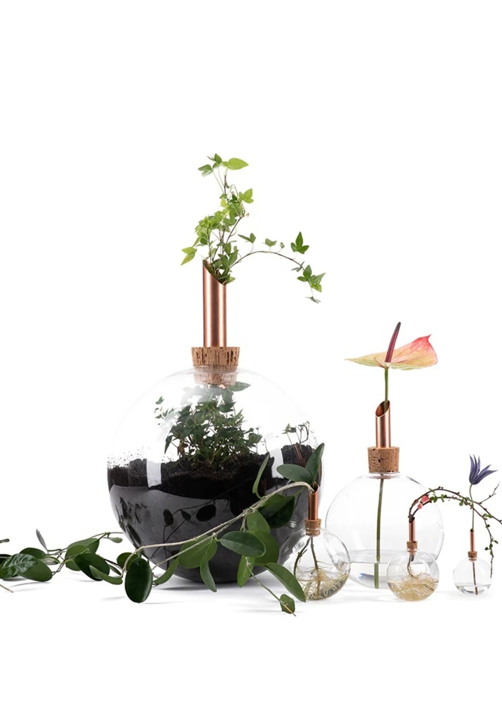 Scandinavia Form Scandinavia Form - Vaas glas