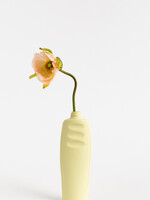 Foekje Fleur Foekje Fleur - Vaas Fles Porselein #23