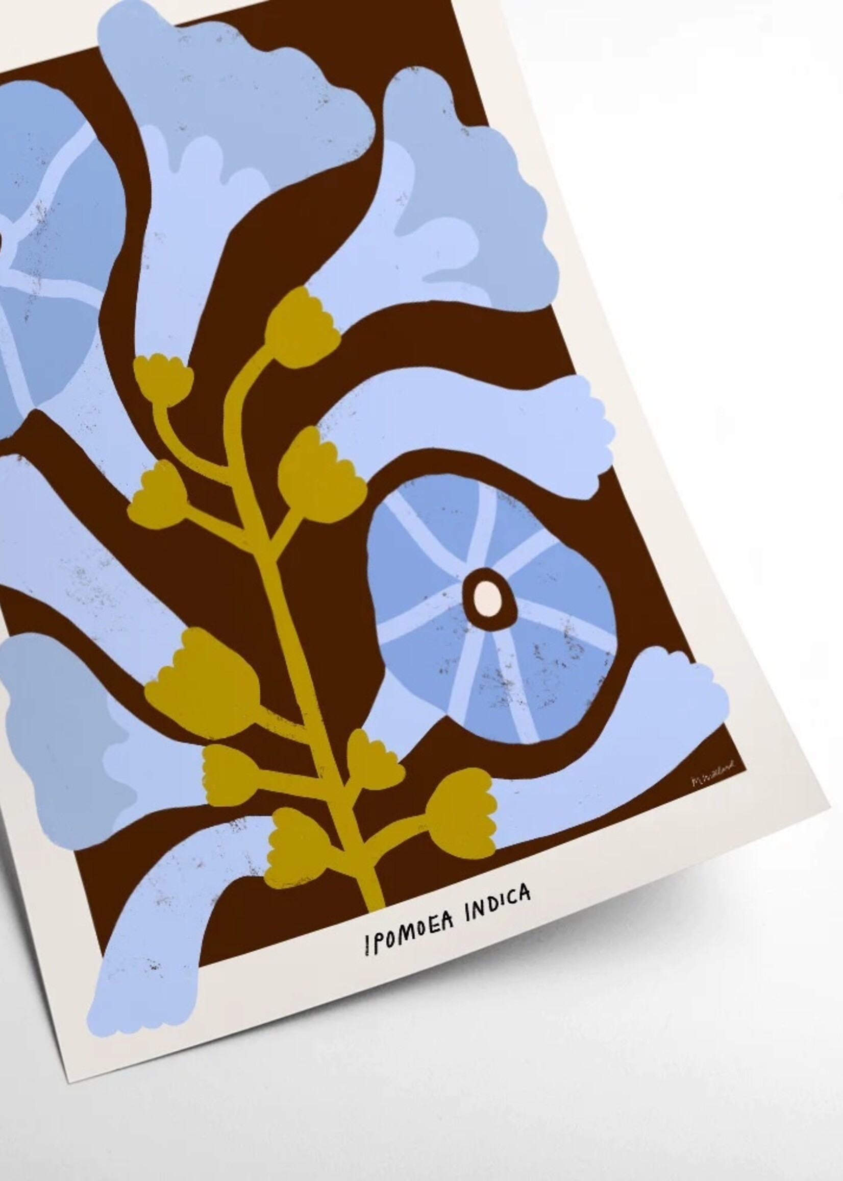 PSTR studio PSTR studio - Poster 'Ipomoea Indica'