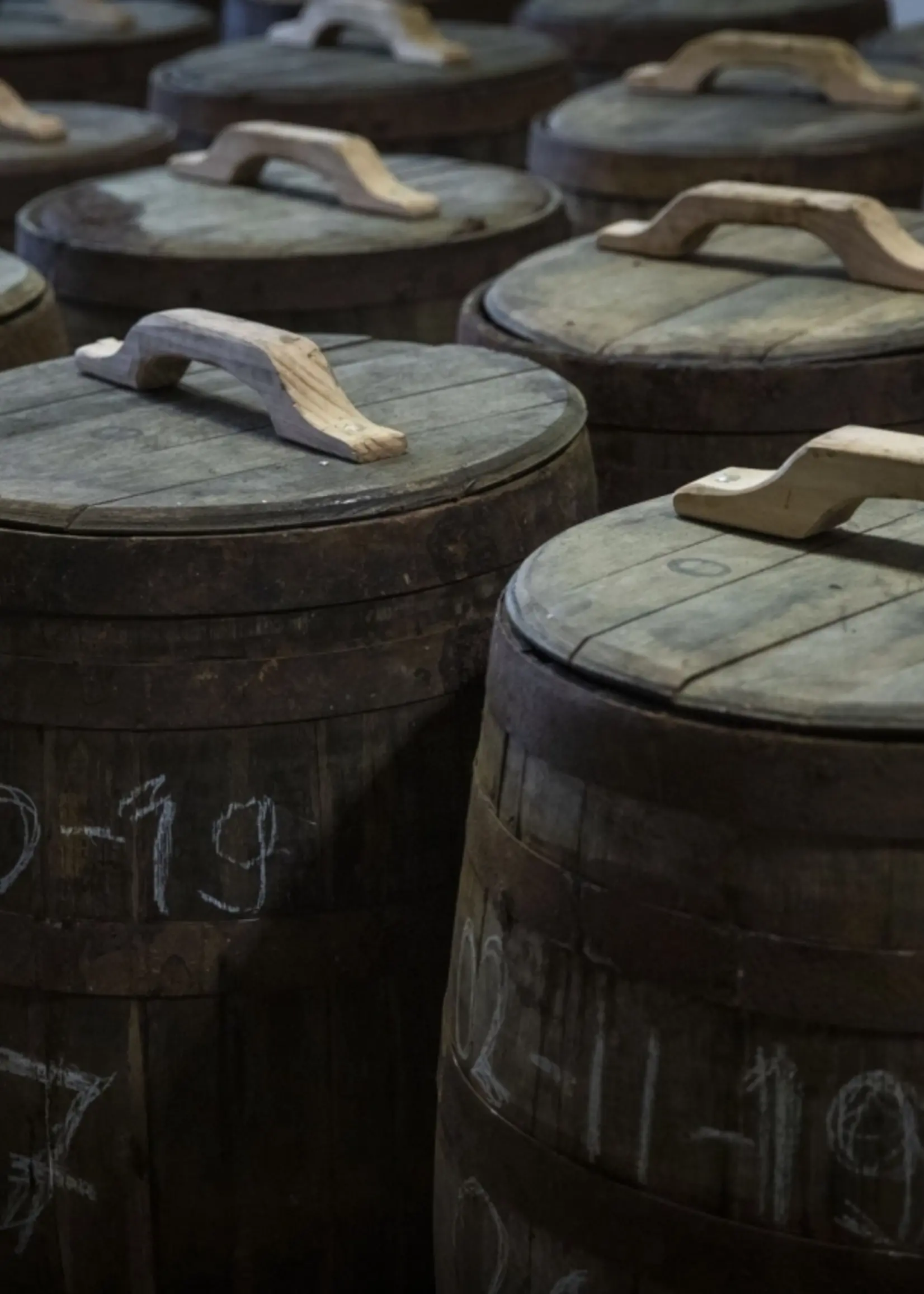 Tomasu Tomasu - Soja Naturel