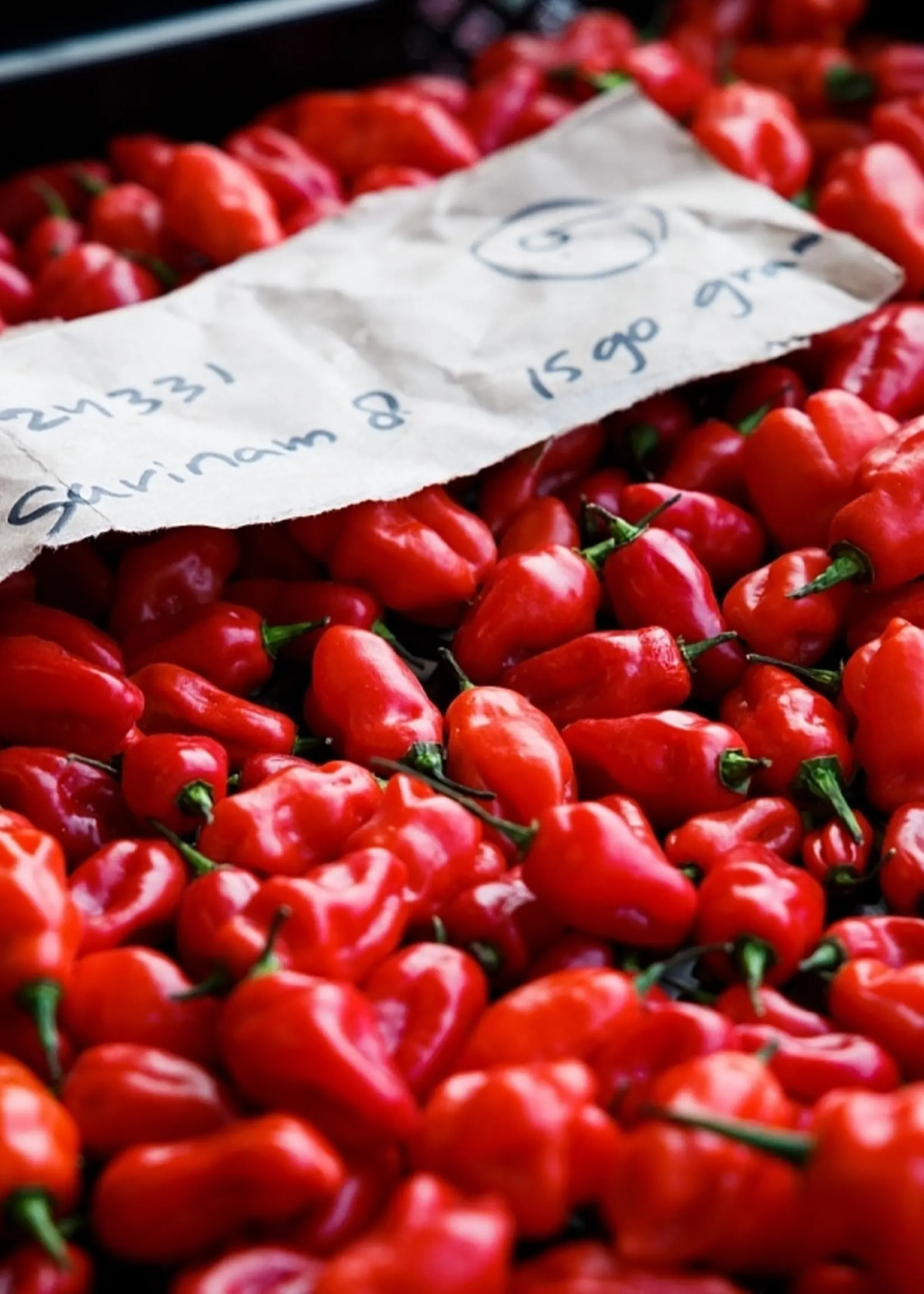 Tomasu Tomasu - Soja Sweet & Spicy