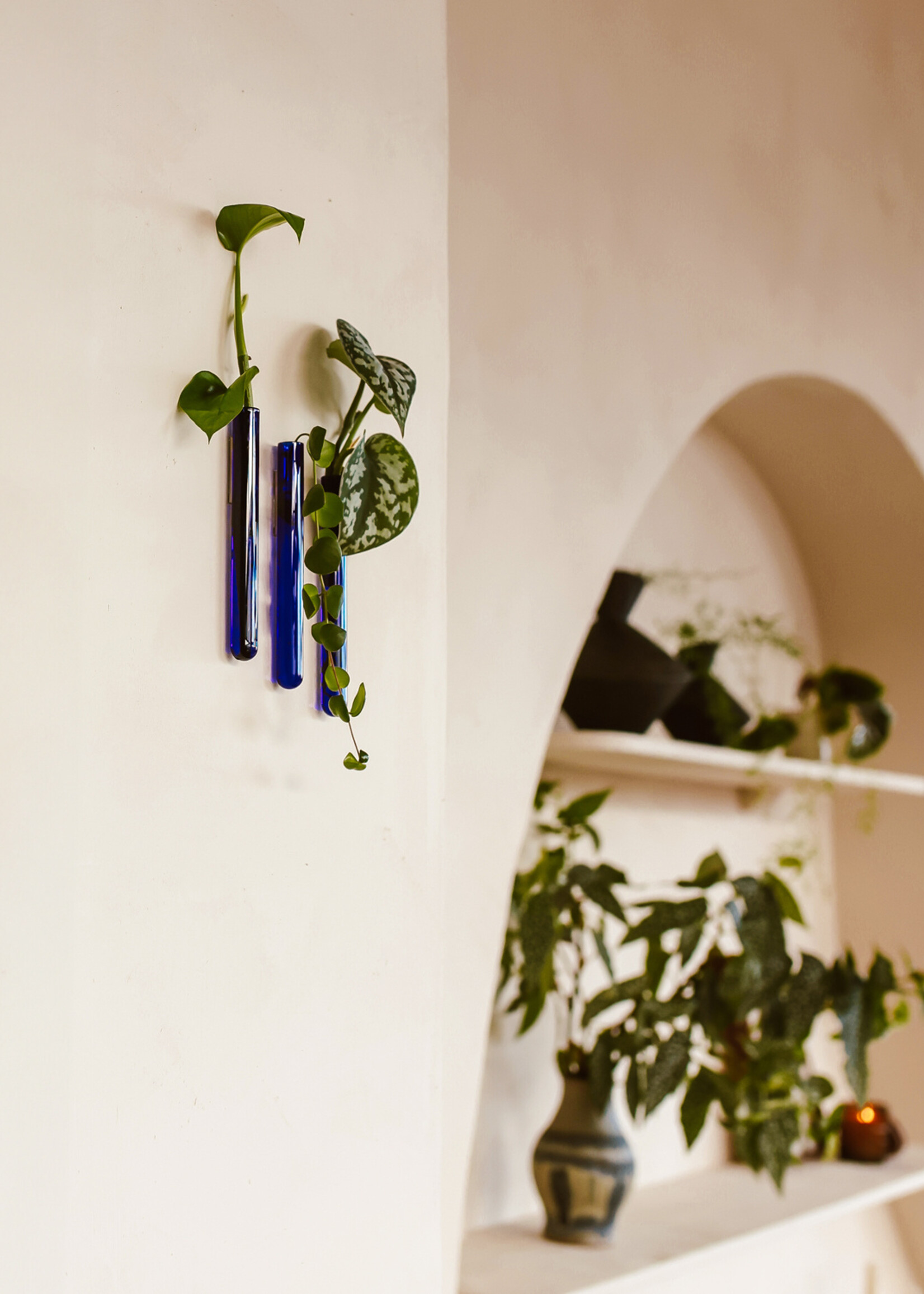 Muurbloempjes Muurbloempjes - Blauw