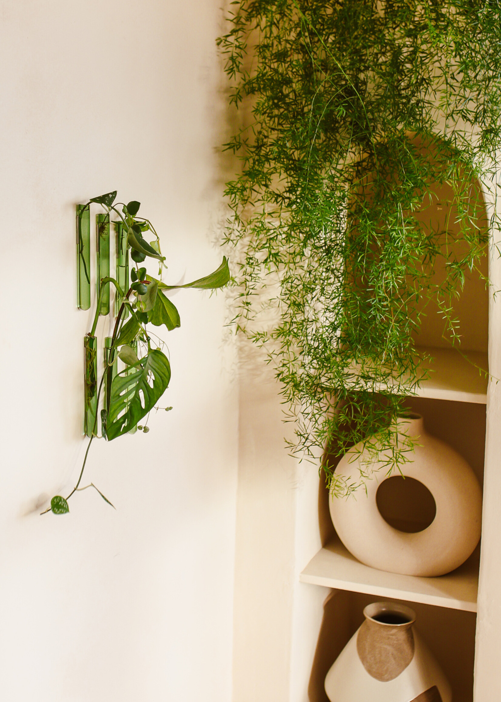 Muurbloempjes Muurbloempjes - Groen