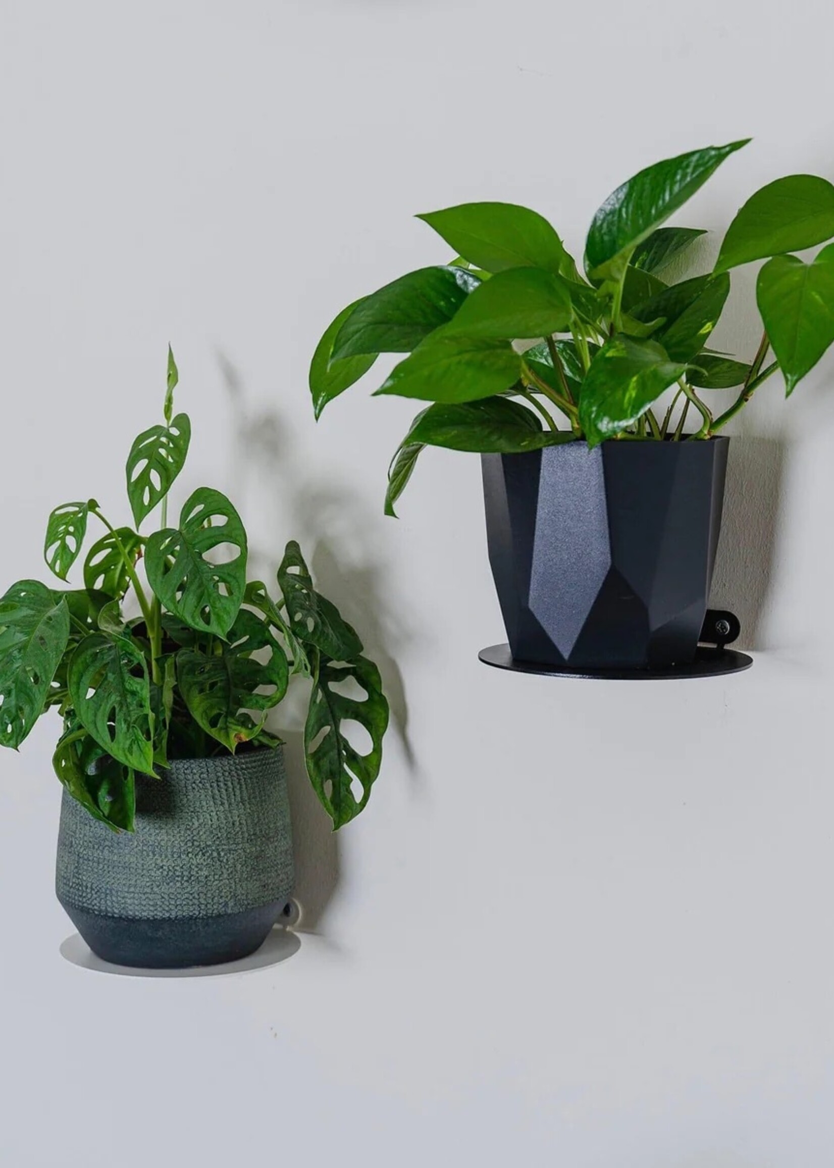 Befold Befold - plankje rond - Zwart