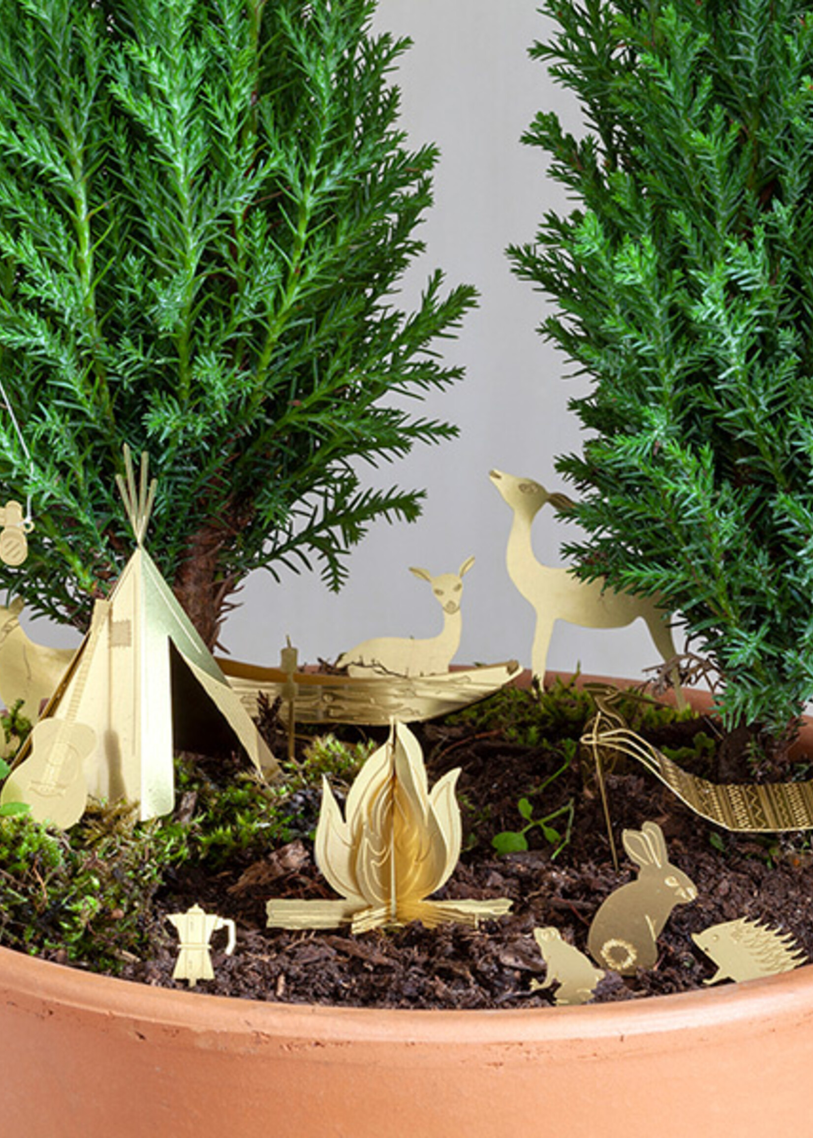 Botanopia Botanopia - Tiny Camping