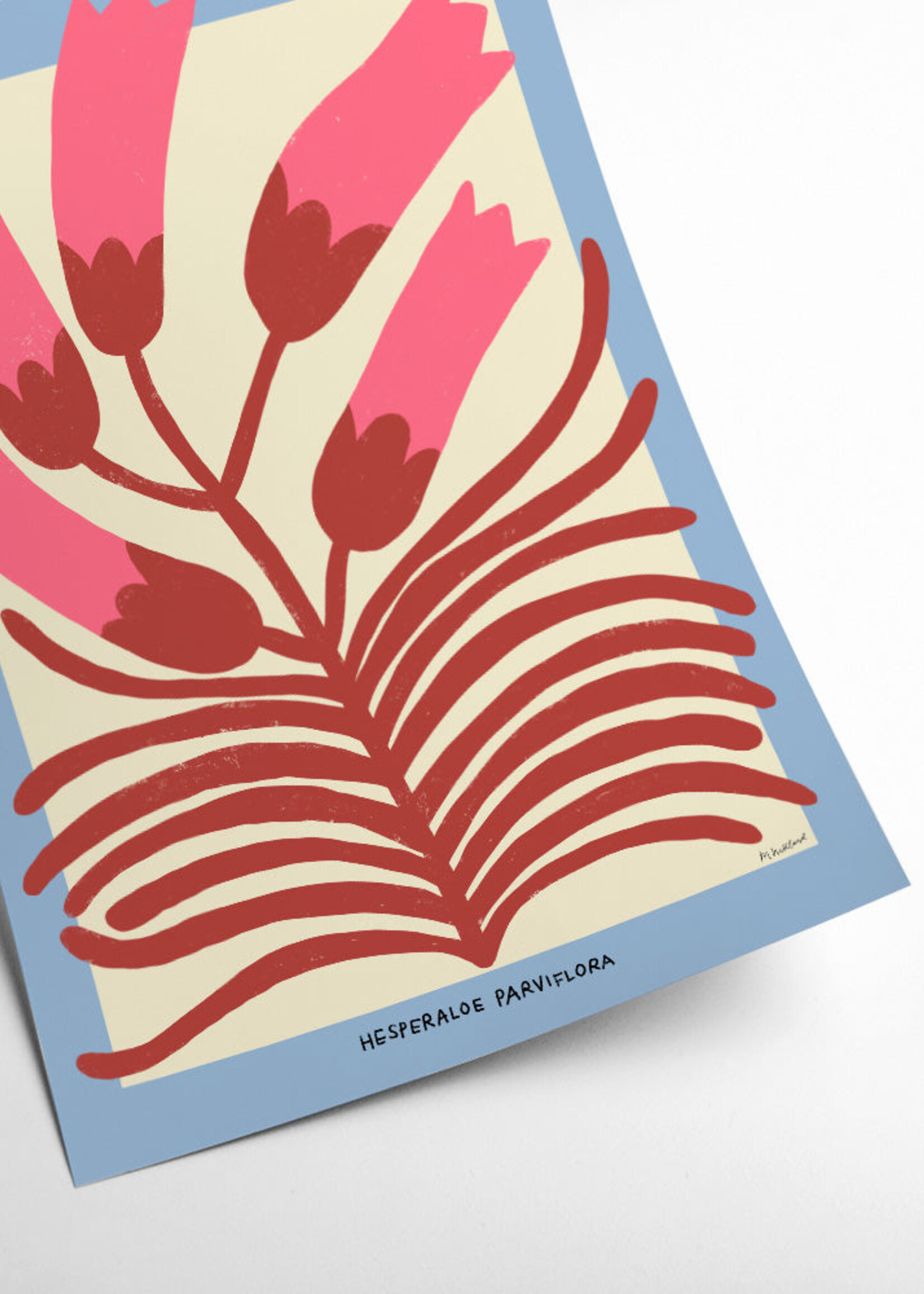 PSTR studio PSTR Studio - Poster 'Hesperaloe Parviflora'