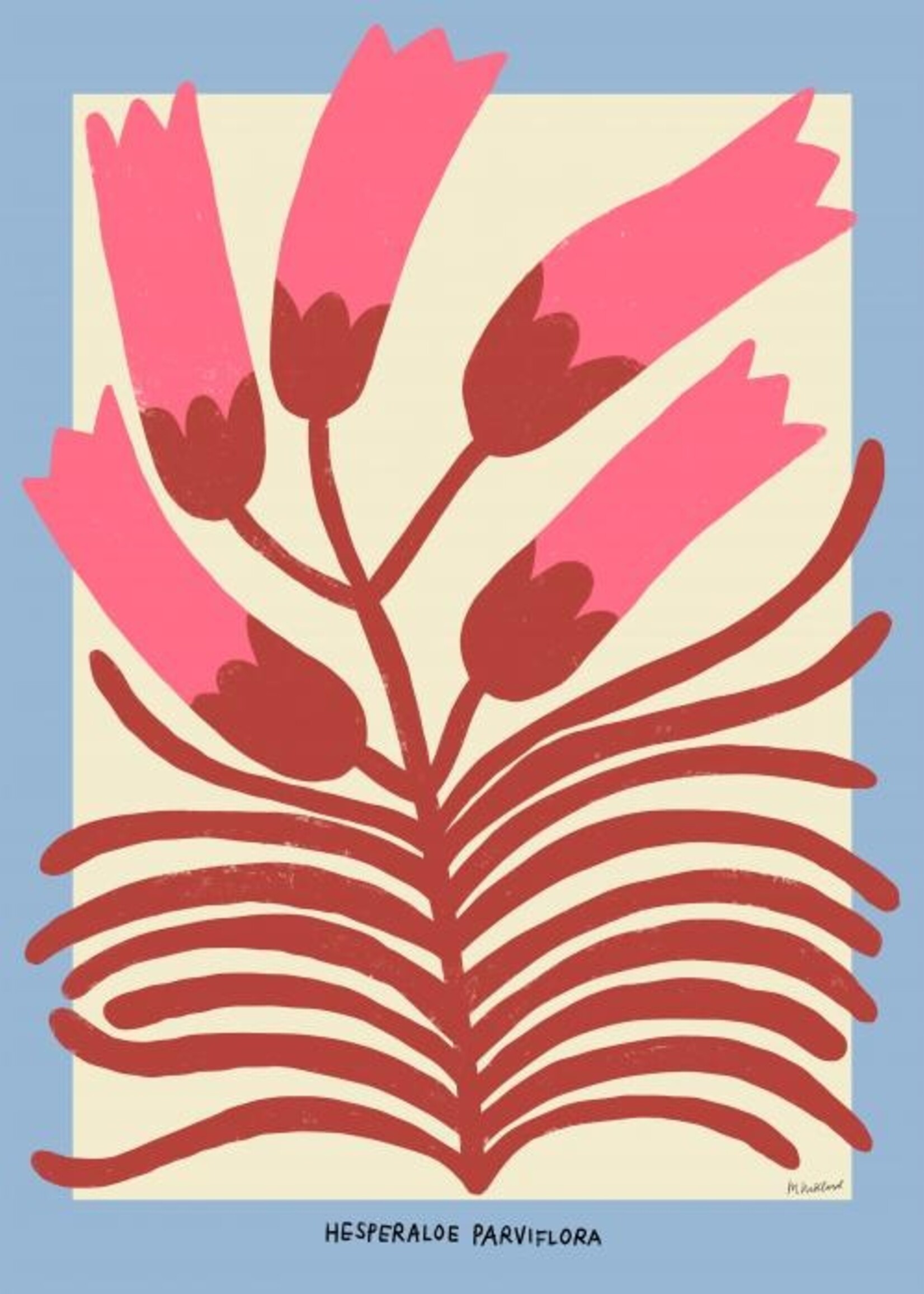 PSTR studio PSTR Studio - Poster 'Hesperaloe Parviflora'