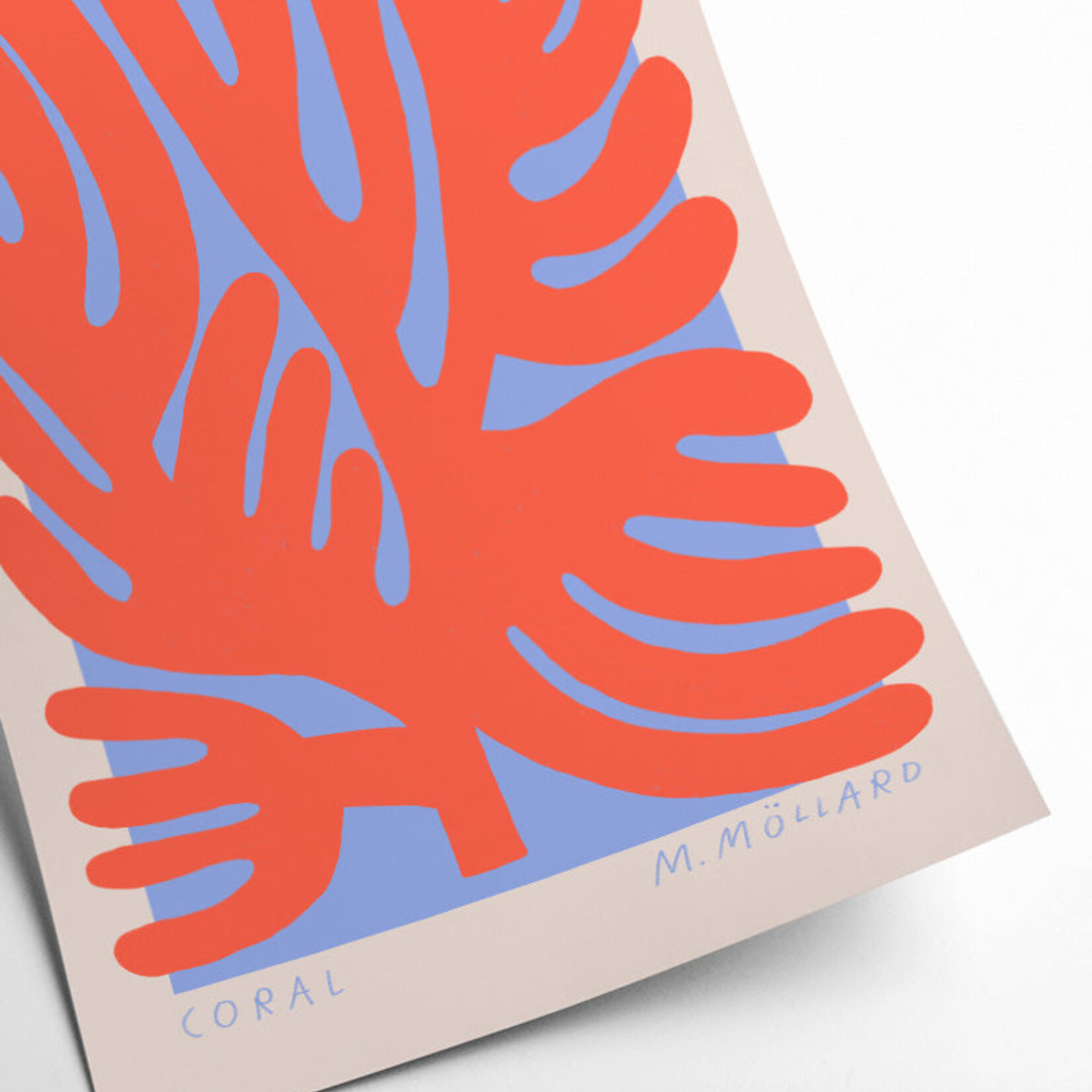 PSTR studio PSTR Studio - Poster 'Coral'