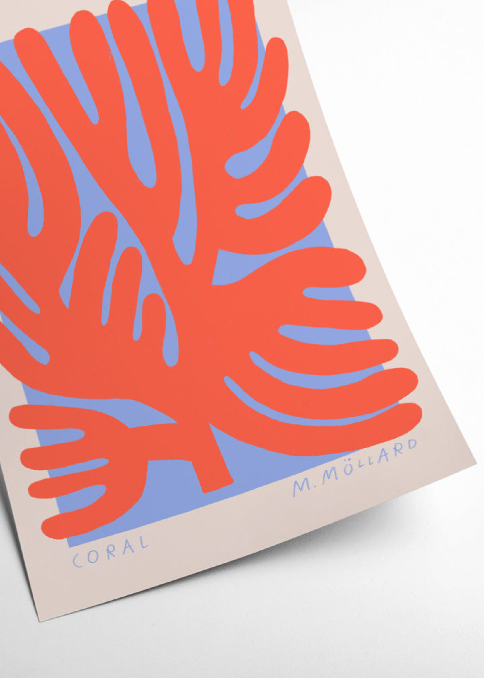 PSTR studio PSTR Studio - Poster 'Coral'