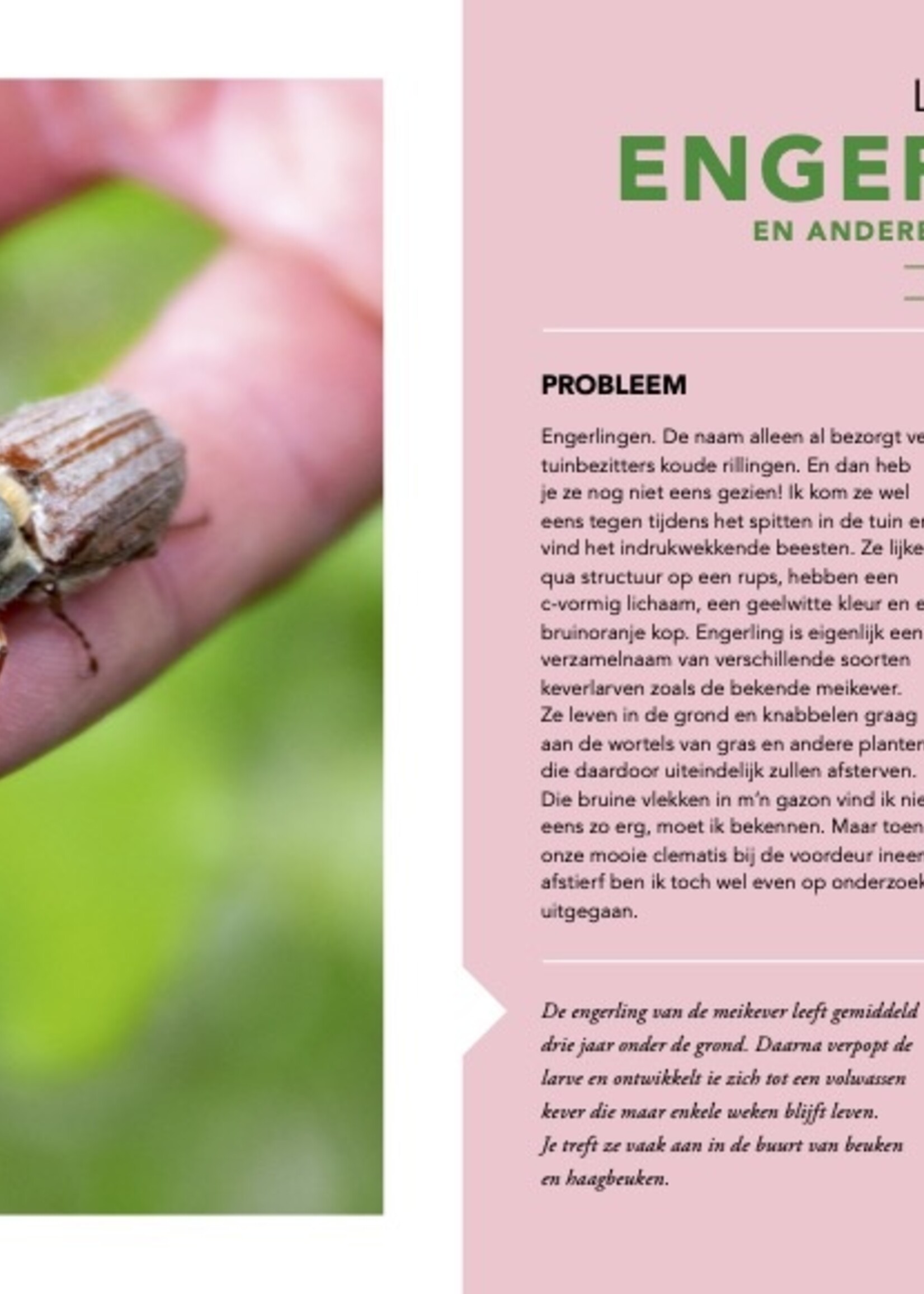 Snor Snor - Oma’s groene tuintips