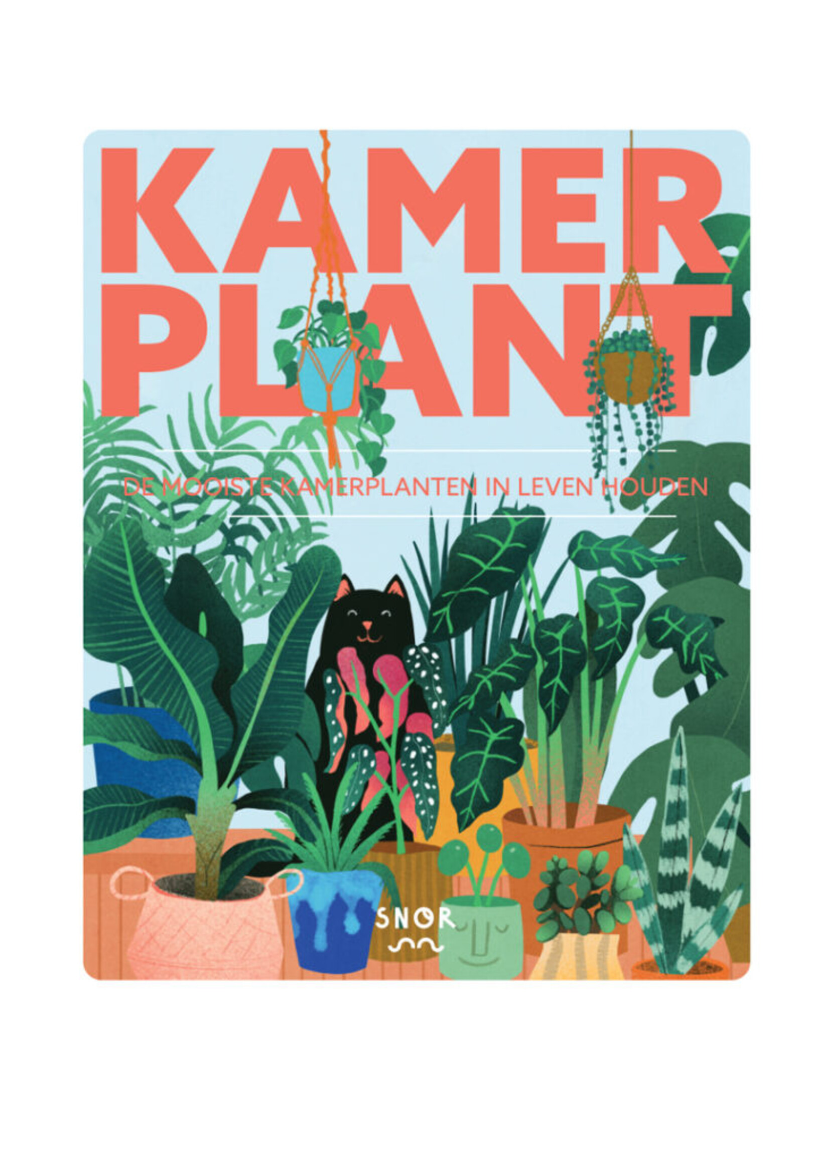 Snor Snor - Kamerplant je indoor jungle