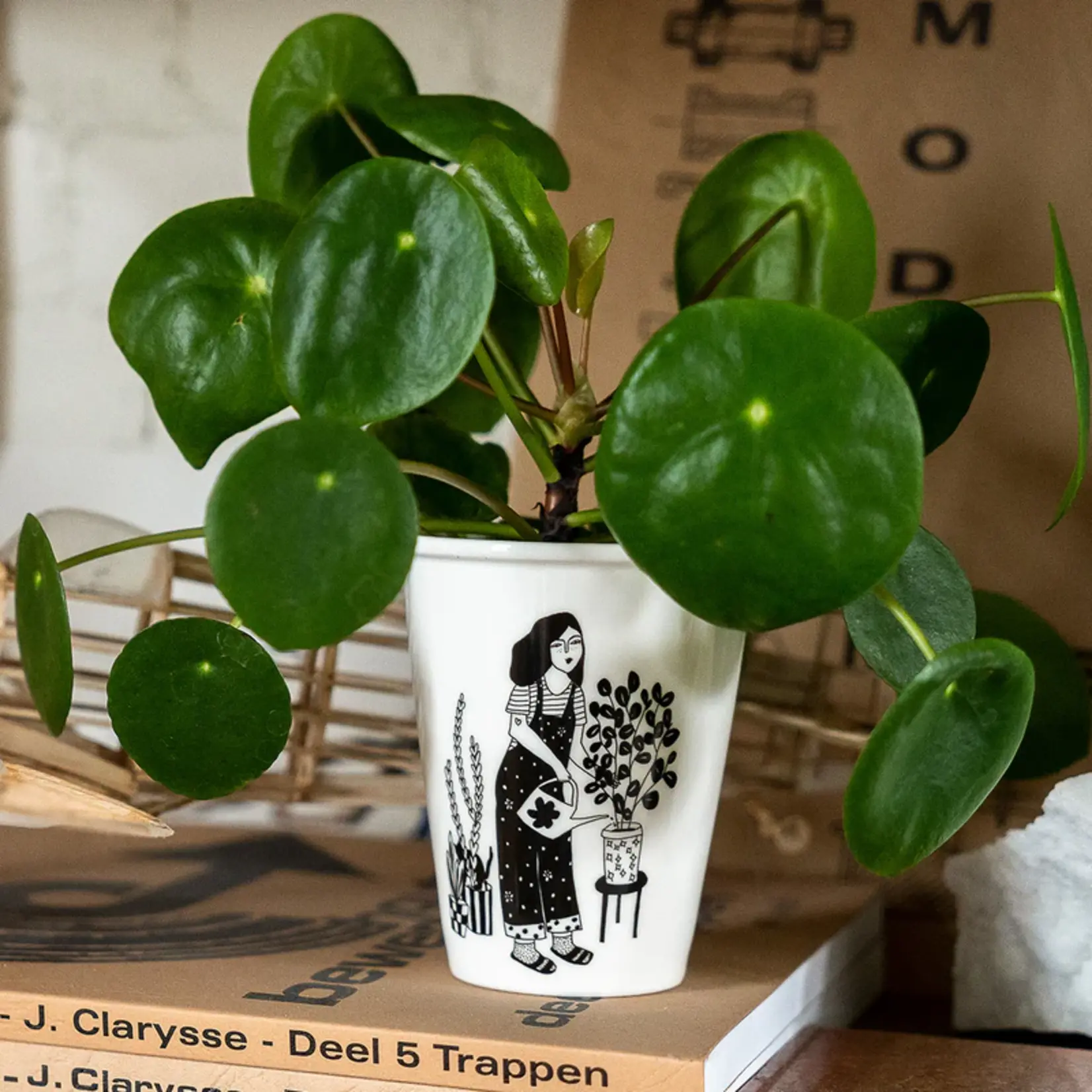 Helen B Helen B - Beker plant lover