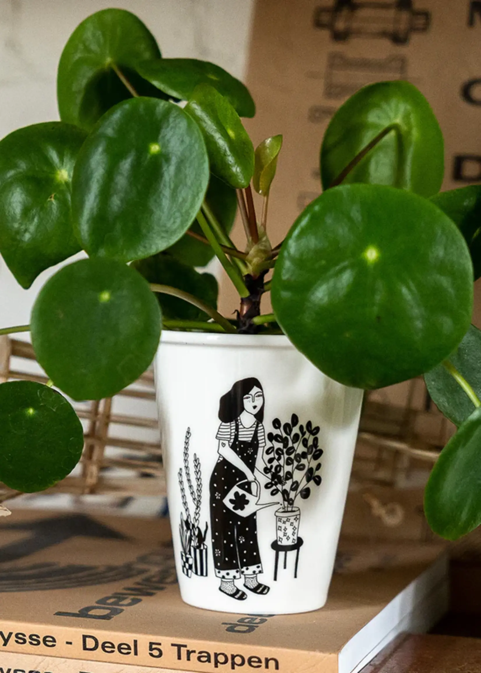 Helen B Helen B - Beker plant lover