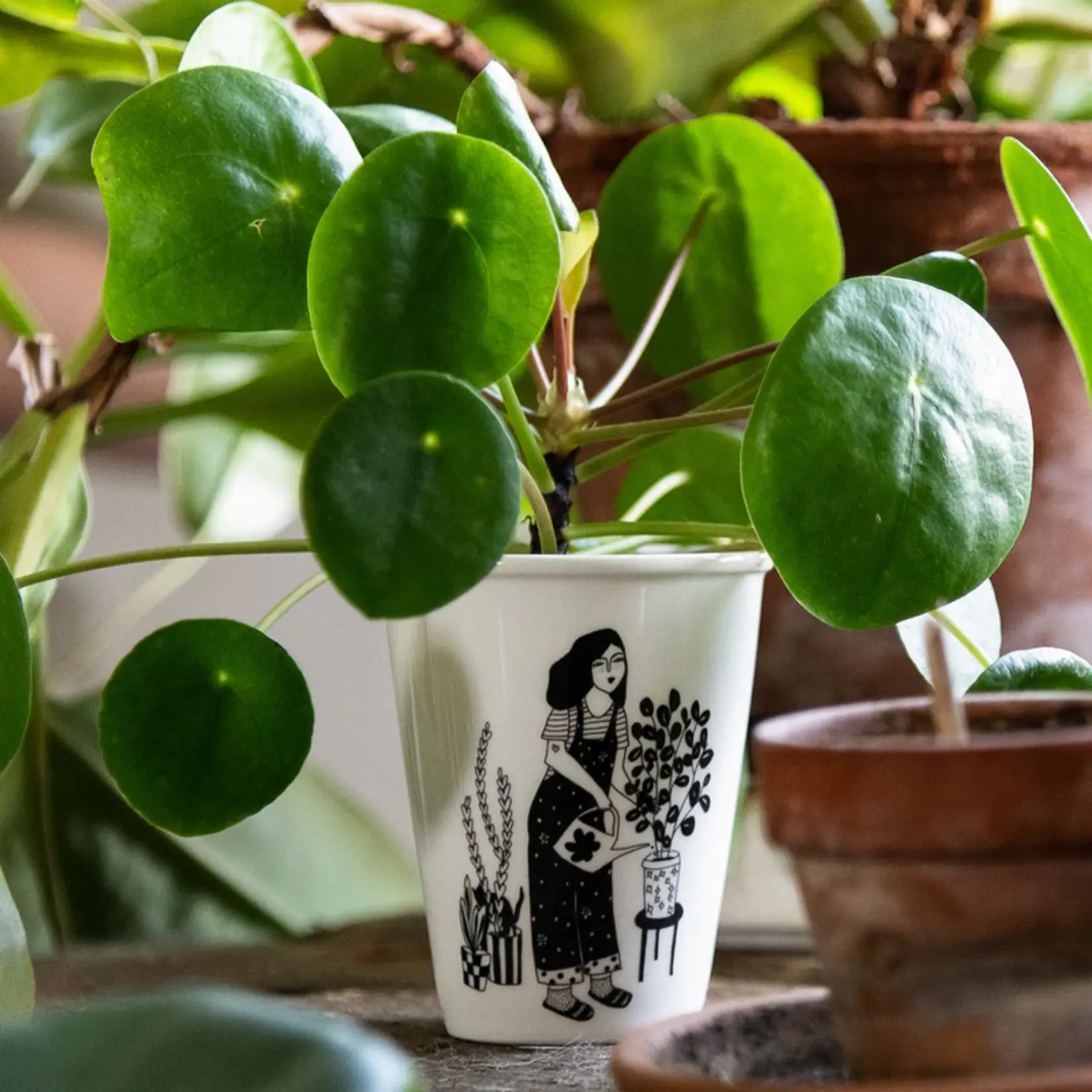 Helen B Helen B - Beker plant lover