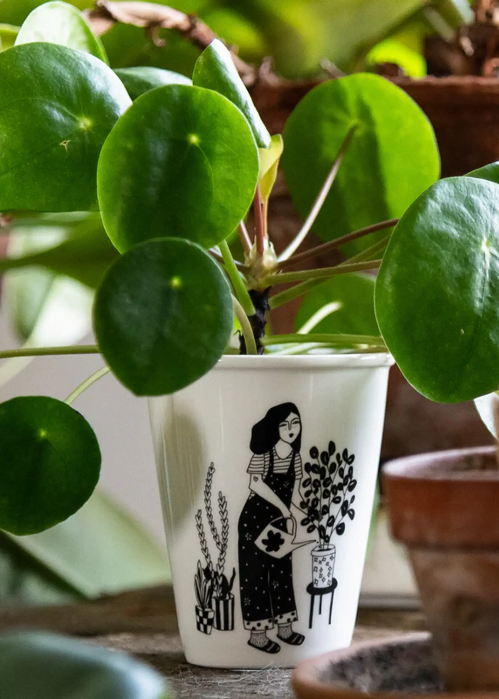 Helen B Helen B - Beker plant lover