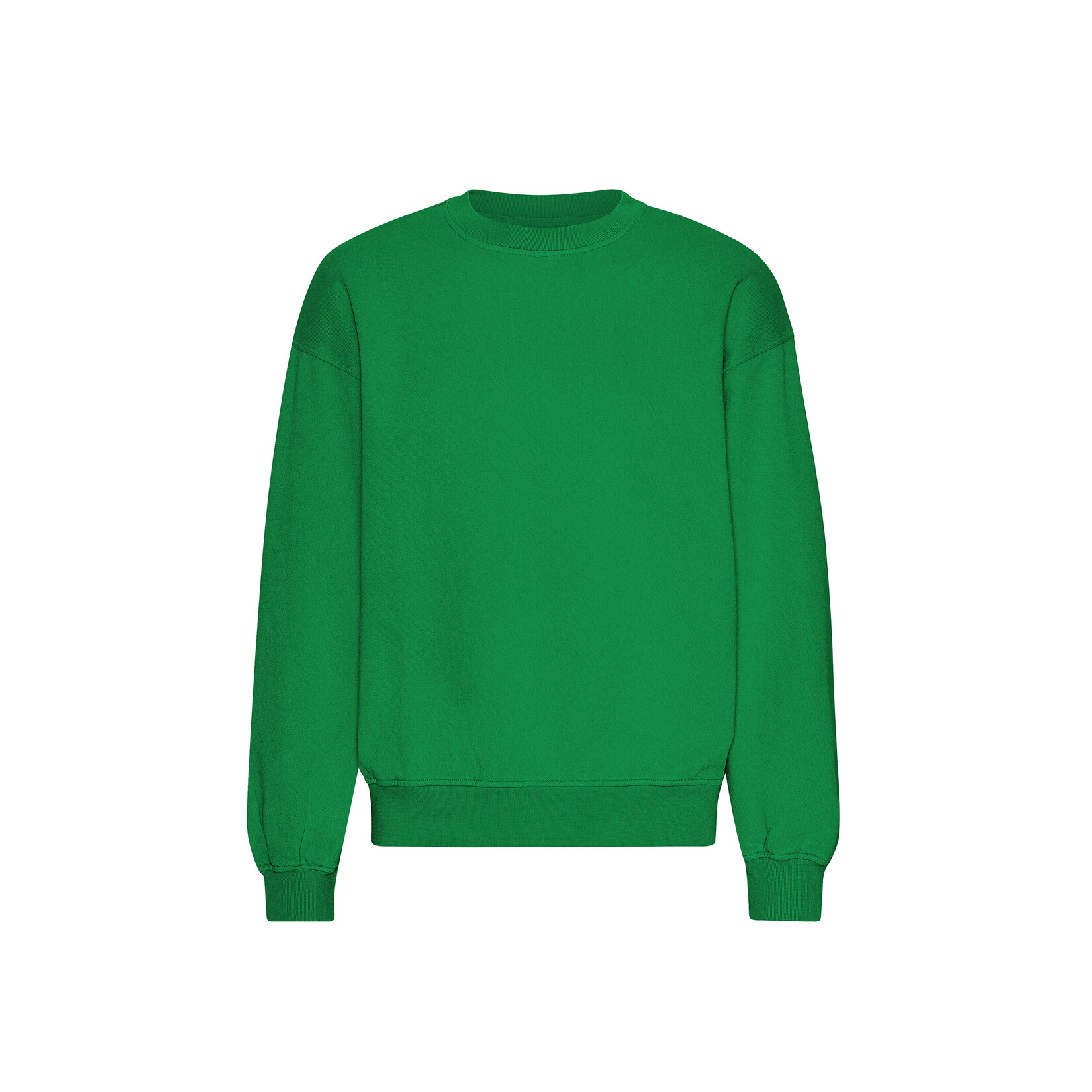 Colorful Standard Colorful Standard - Organic Oversized Crew - Kelly Green