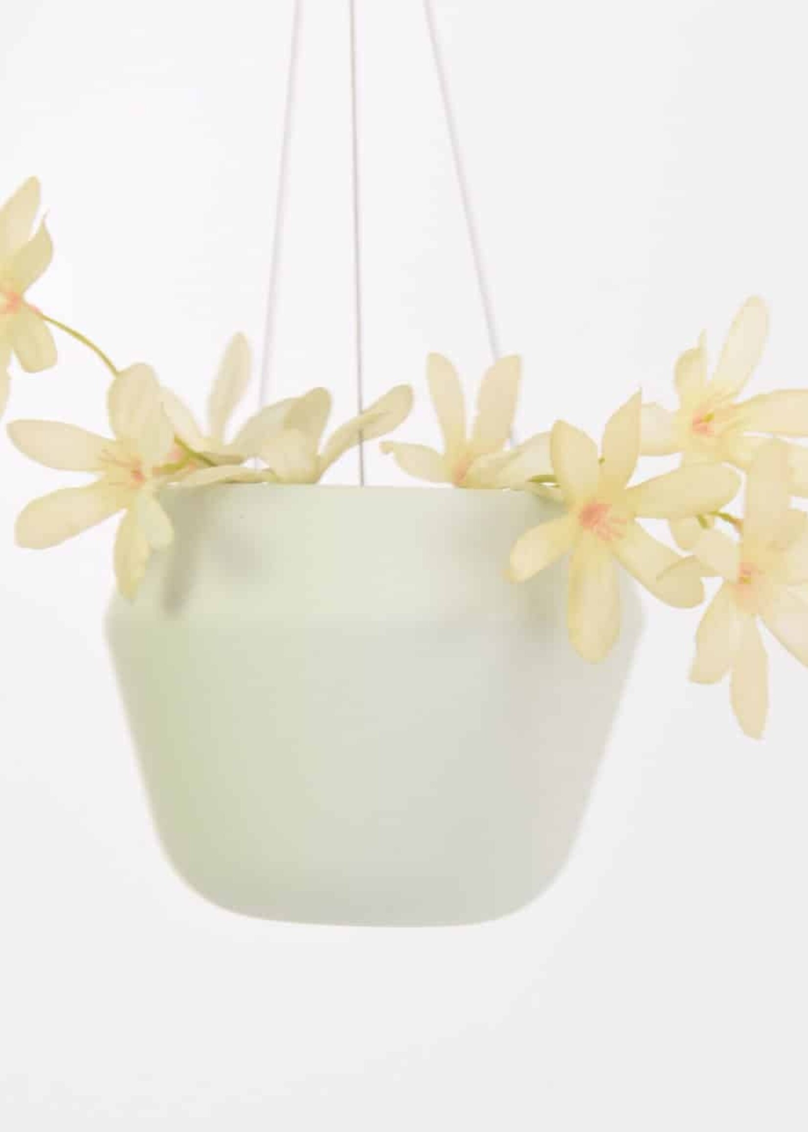 Harm & Elke Harm & Elke - Plantenpot hang - Medium