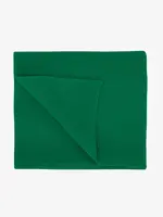 Colorful Standard Colorful Standard - Merino Wool Scarf - Kelly Green