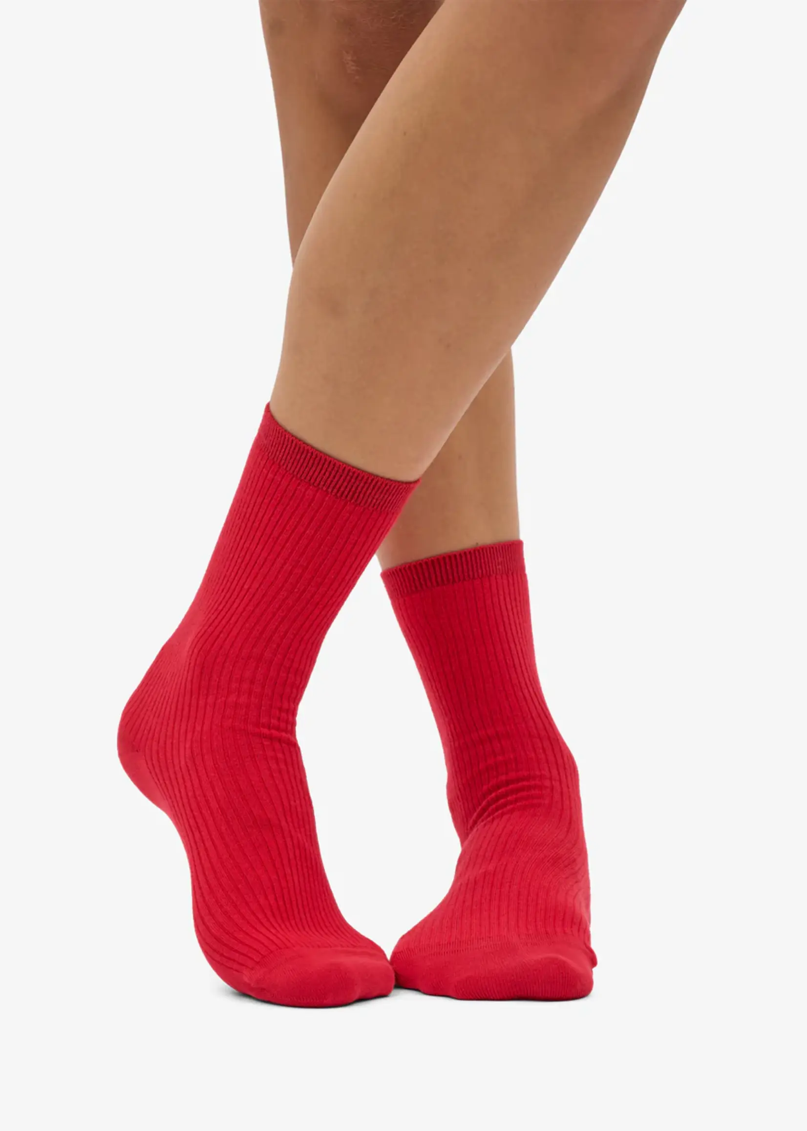 Colorful Standard Colorful Standard - Women Classic Organic Sock - Scarlet Red One Size (36 - 40)