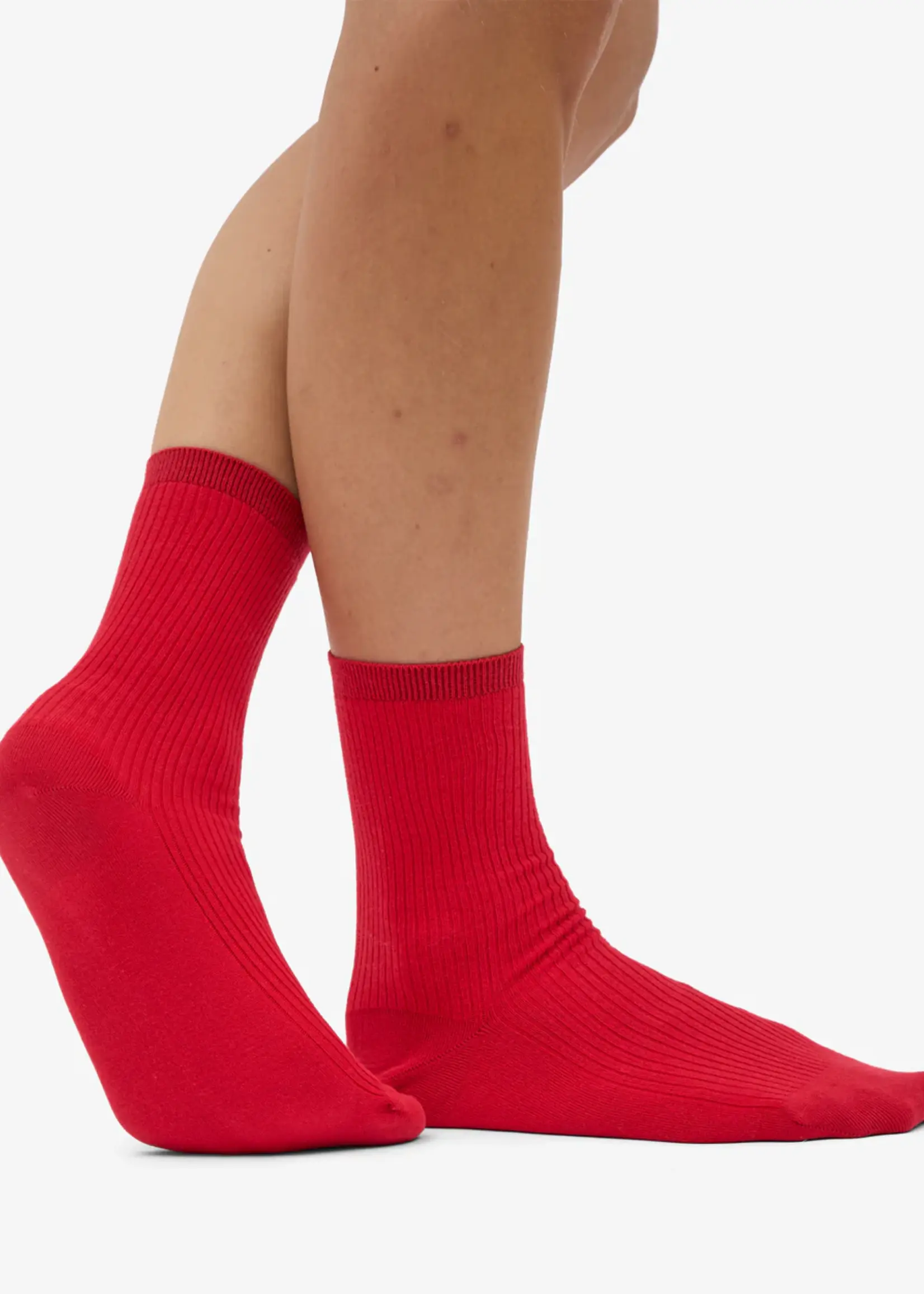 Colorful Standard Colorful Standard - Women Classic Organic Sock - Scarlet Red One Size (36 - 40)