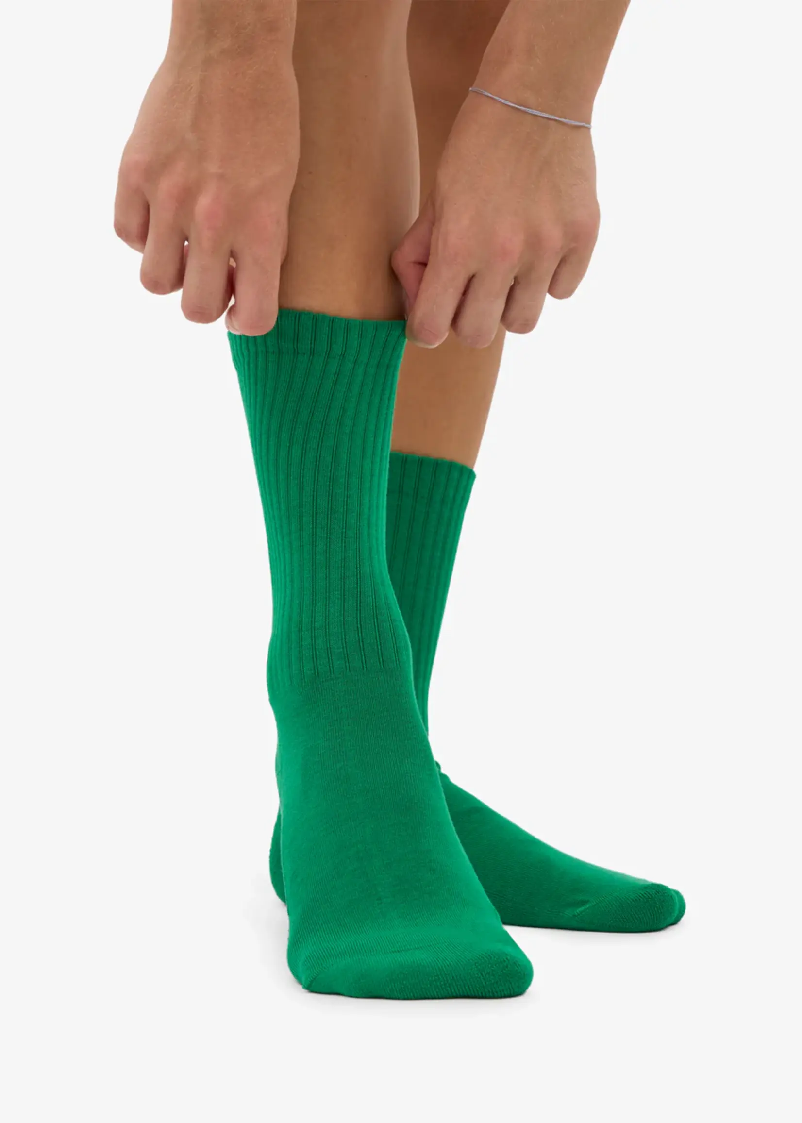 Colorful Standard Colorful Standard - Organic Active Sock - Kelly Green
