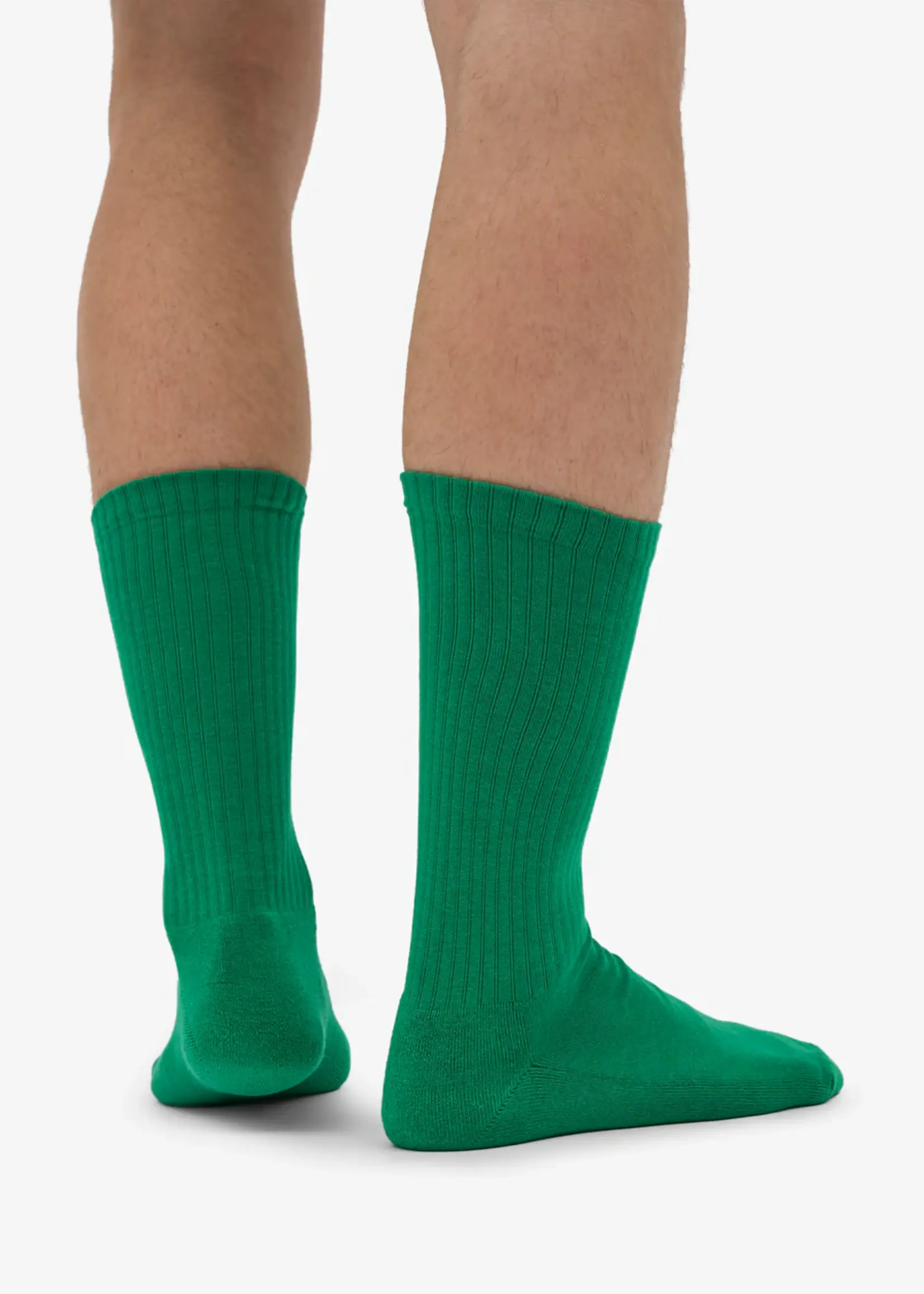 Colorful Standard Colorful Standard - Organic Active Sock - Kelly Green