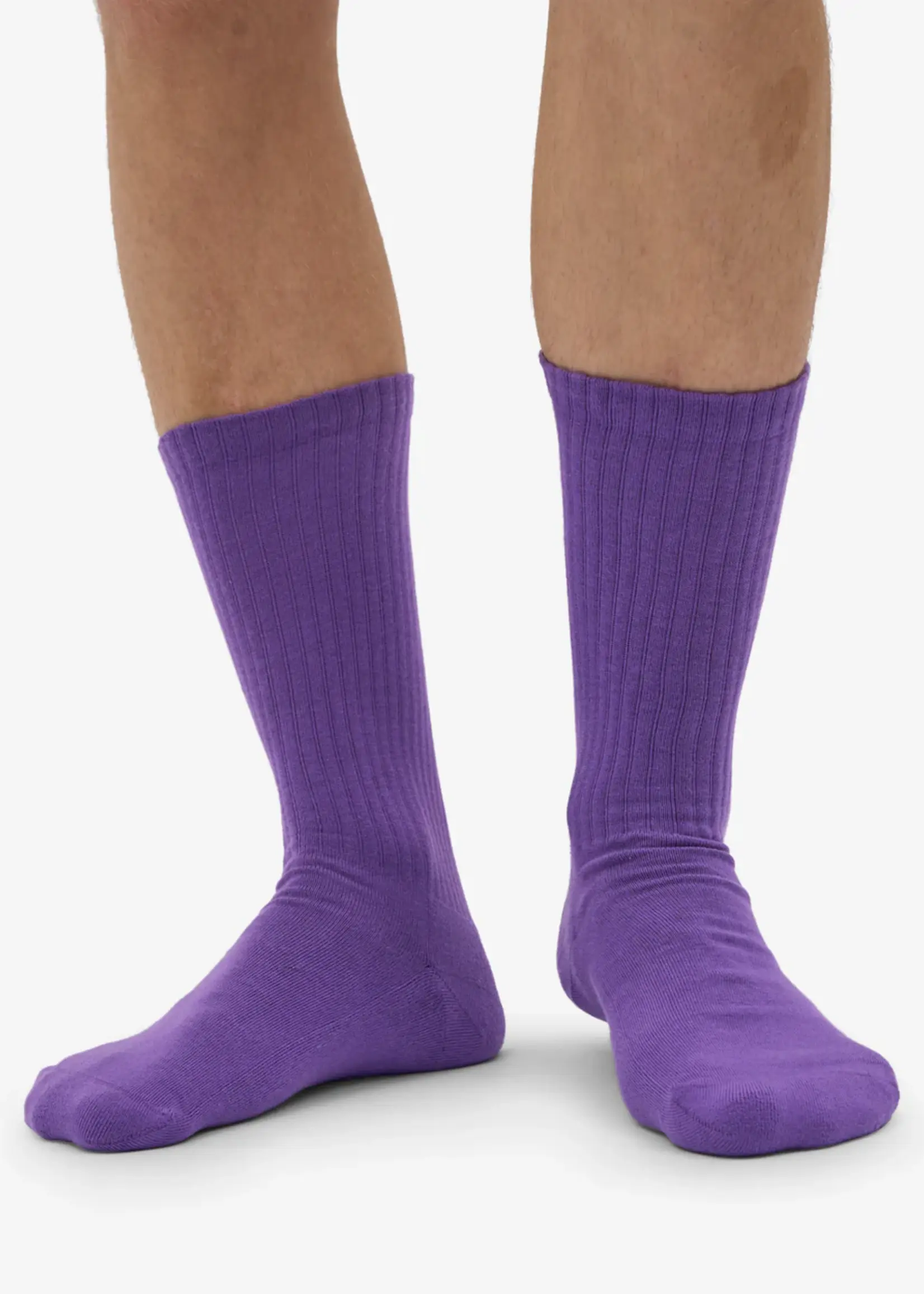 Colorful Standard Colorful Standard - Organic Active Sock - Ultra Violet