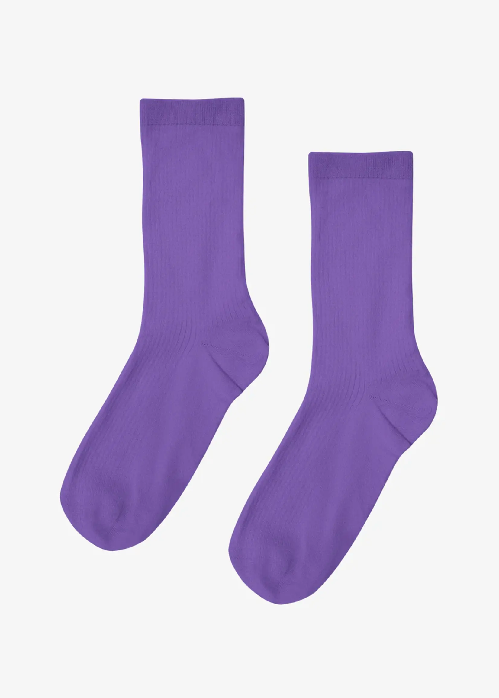 Colorful Standard Colorful Standard - Women Classic Organic Sock - Ultra Violet