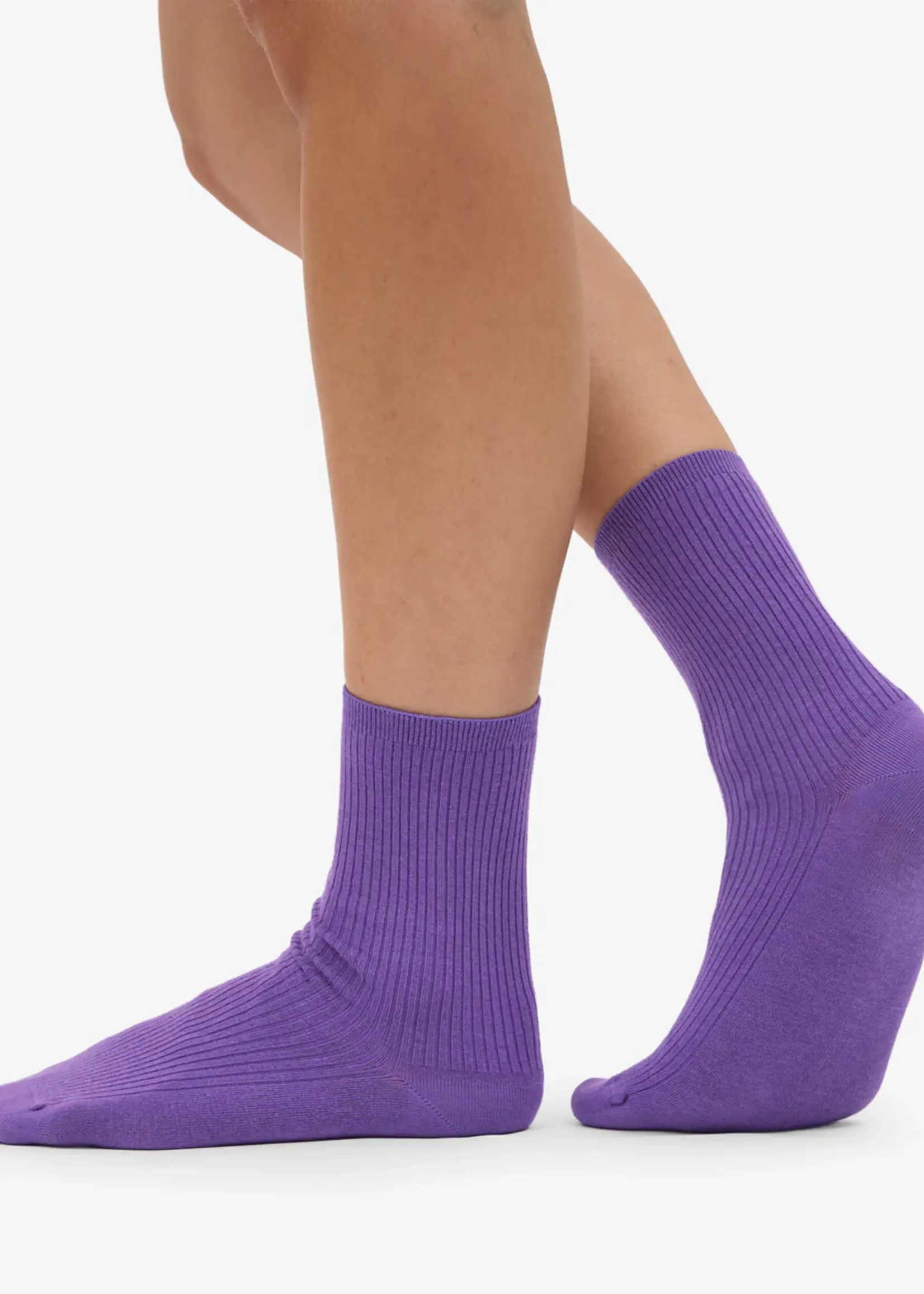 Colorful Standard Colorful Standard - Women Classic Organic Sock - Ultra Violet