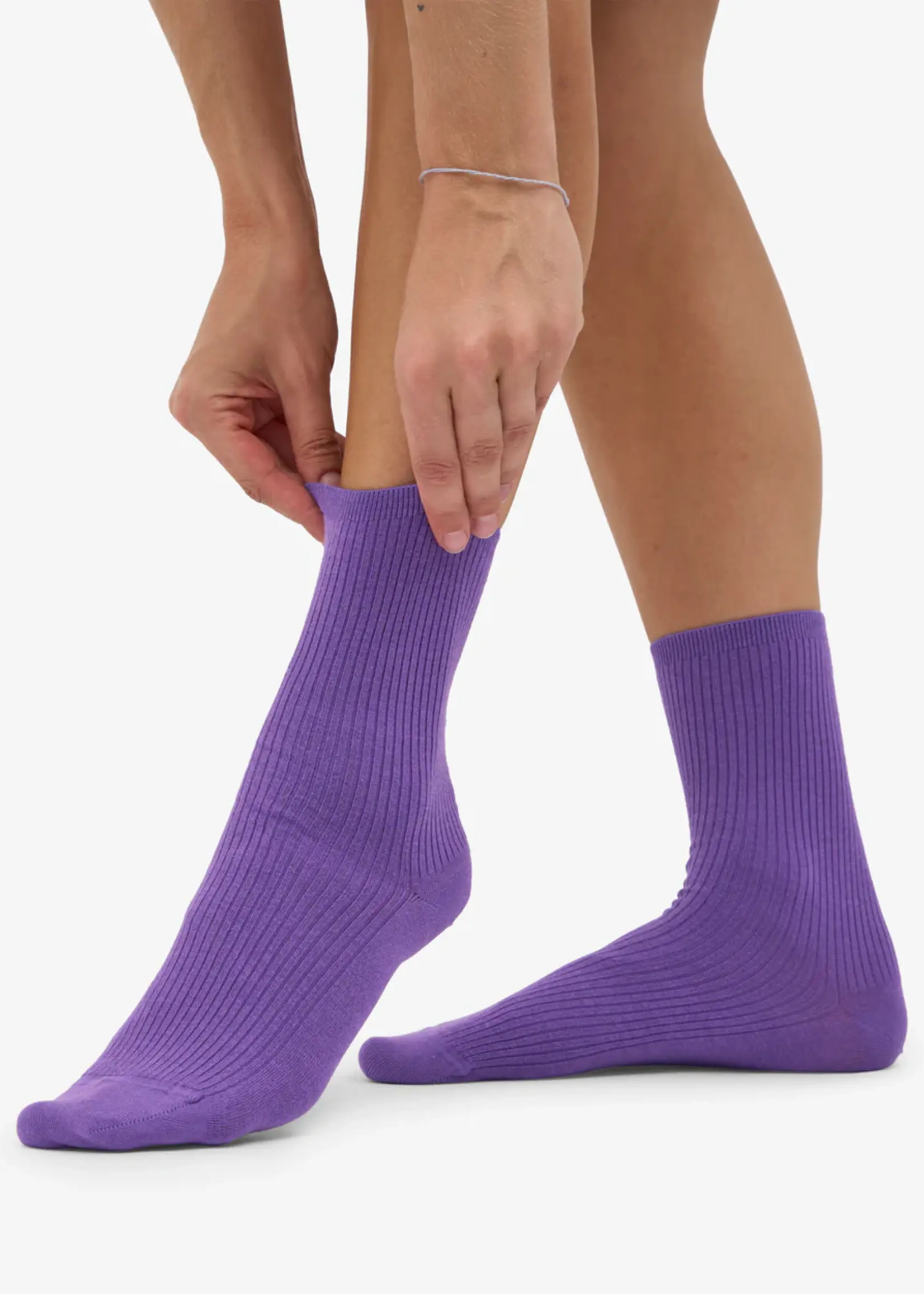Colorful Standard Colorful Standard - Women Classic Organic Sock - Ultra Violet