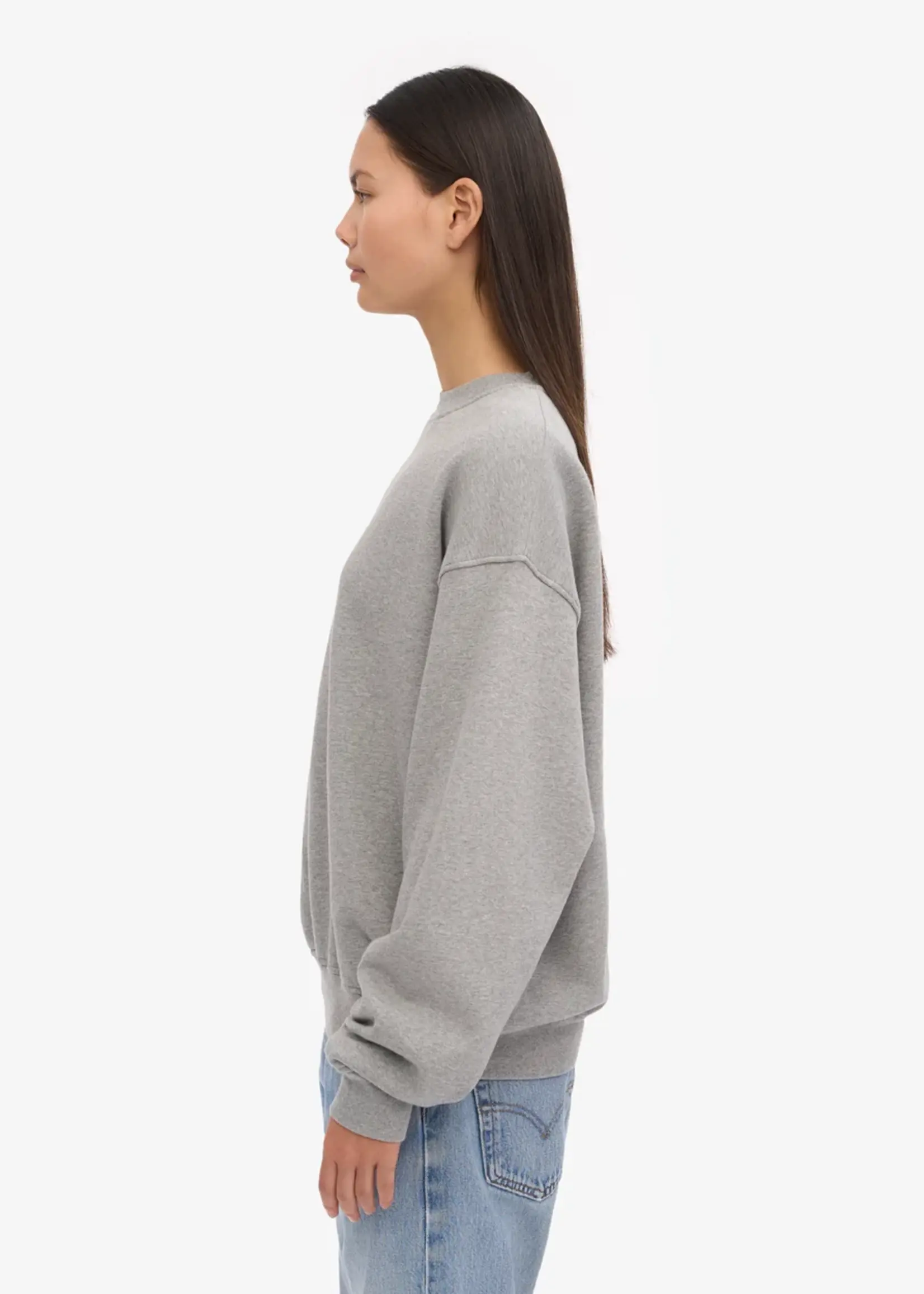 Colorful Standard Colorful Standard - Organic Oversized Crew - Heather Grey