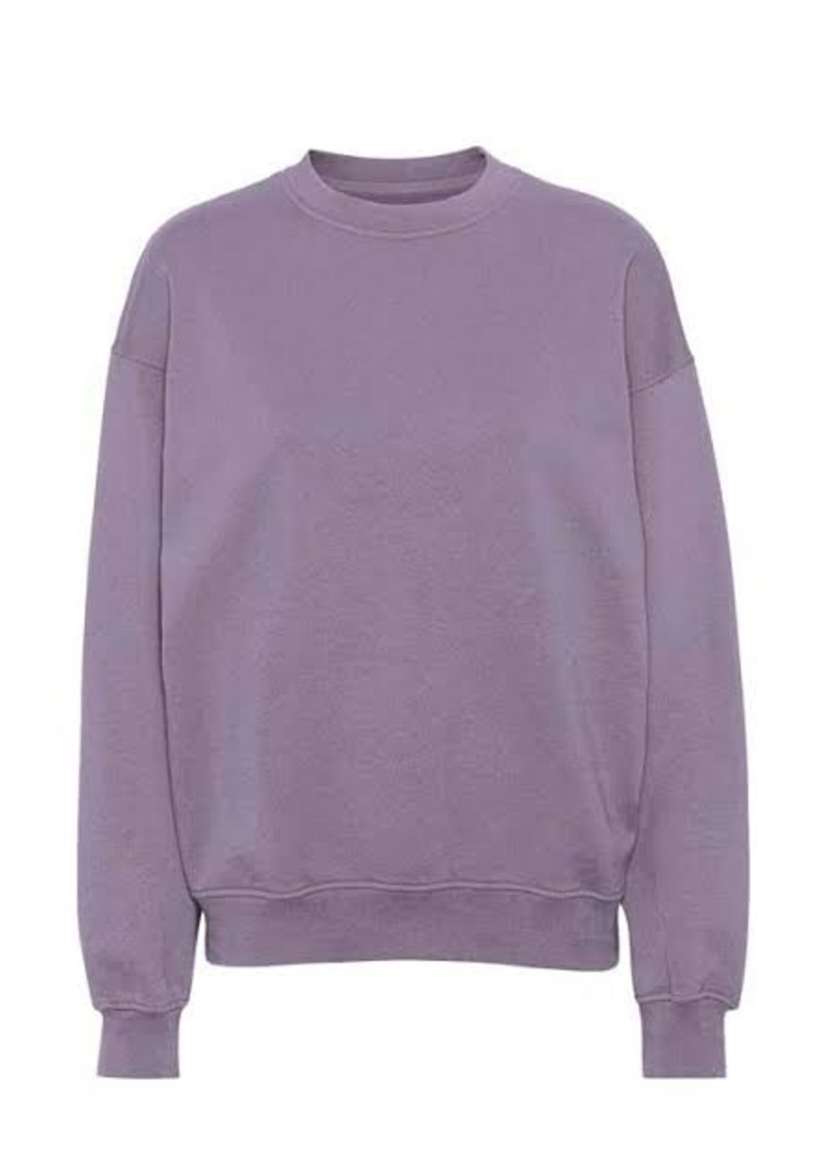 Colorful Standard Colorful Standard - Organic Oversized Crew - Purple Jade