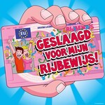 Huldeschild - rijbewijs*