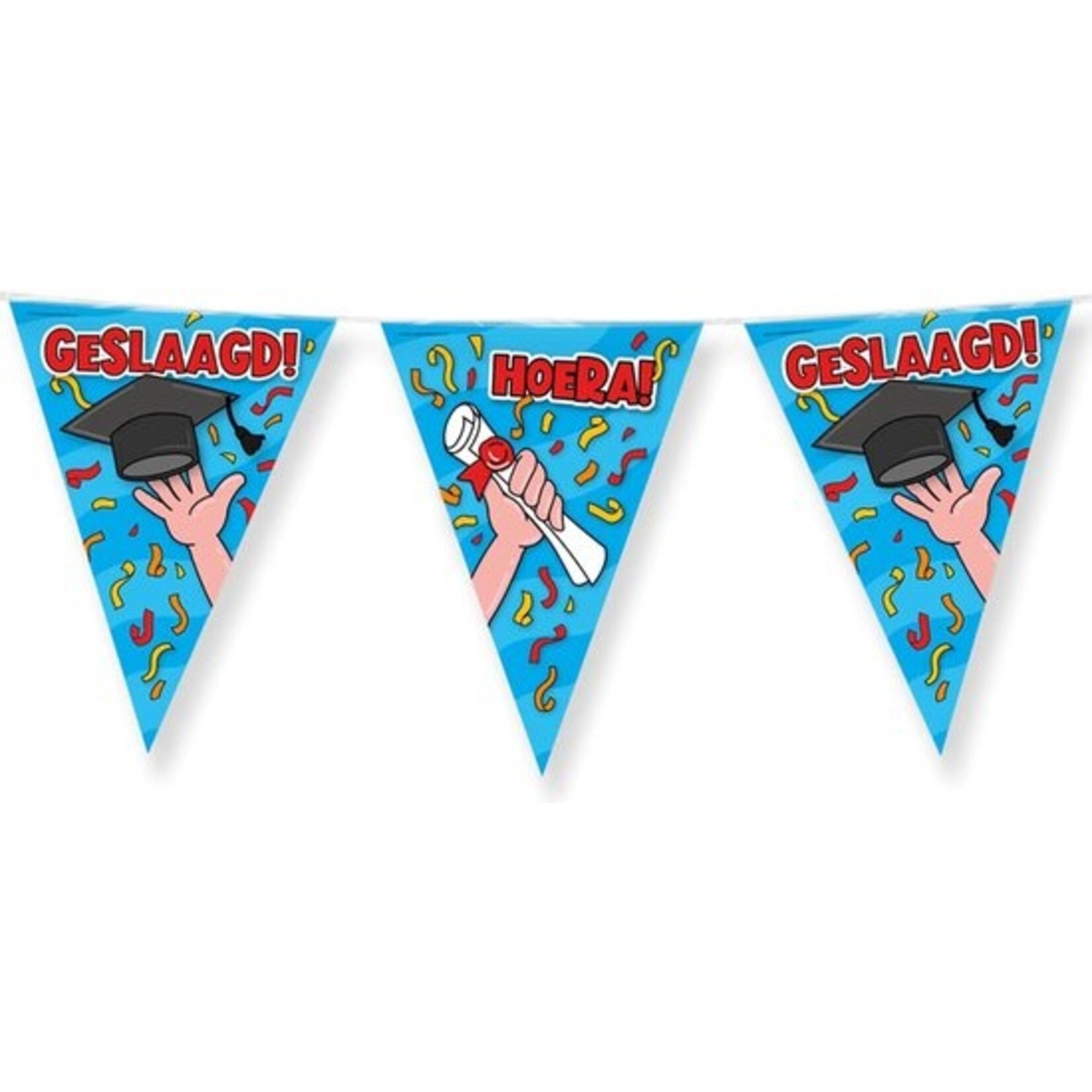Party Flags - Geslaagd school cartoon