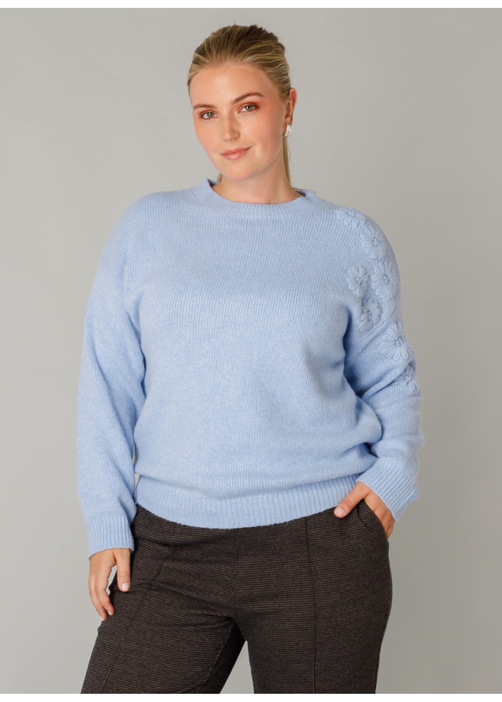 Yest Curve Yesta A005741 25.2.1