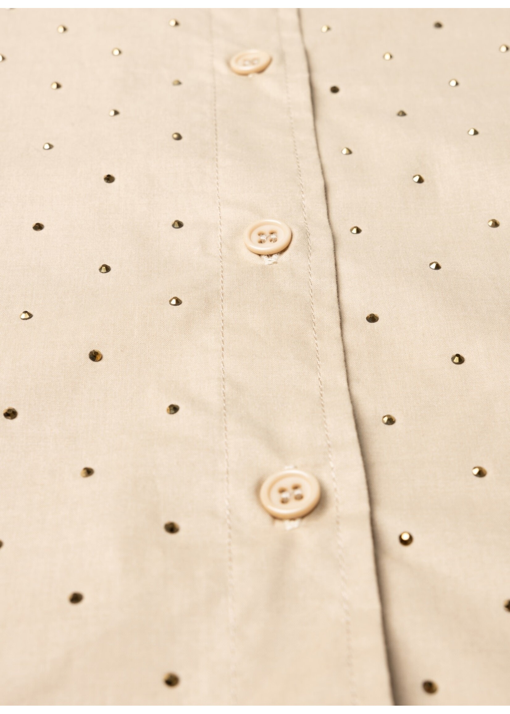 Yest Curve Yest Curve A005723 25.2.1