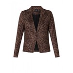 Blazers