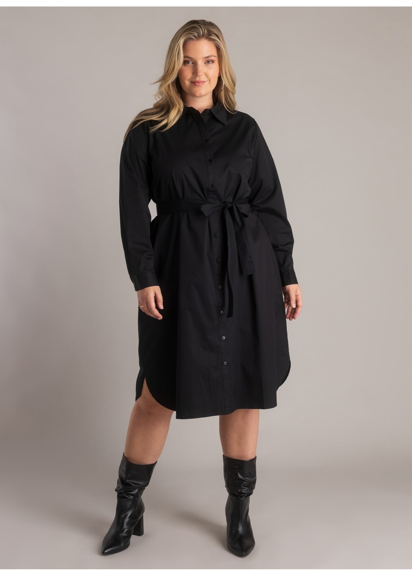 Yest Curve Yest Curve A006039 26.1.1