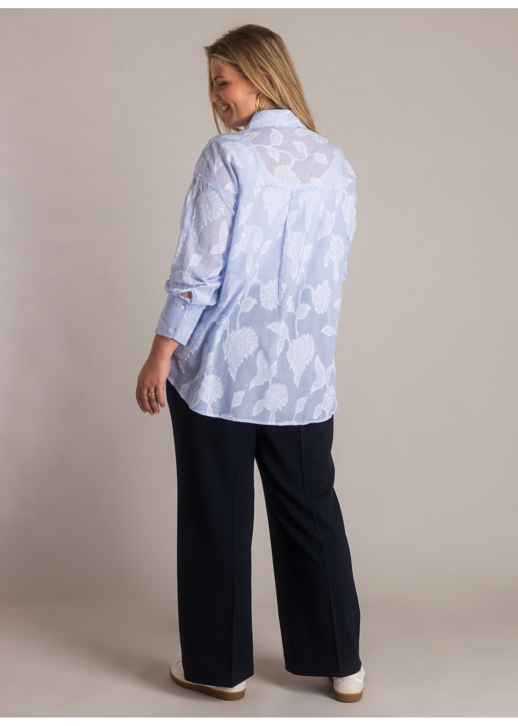 Yest Curve Yest Curve A006041 26.1.1