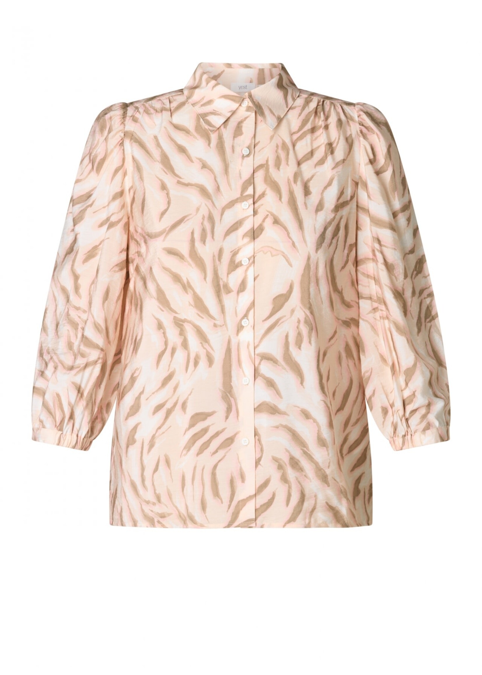 Yest Curve Yest Curve A006058 26.1.1