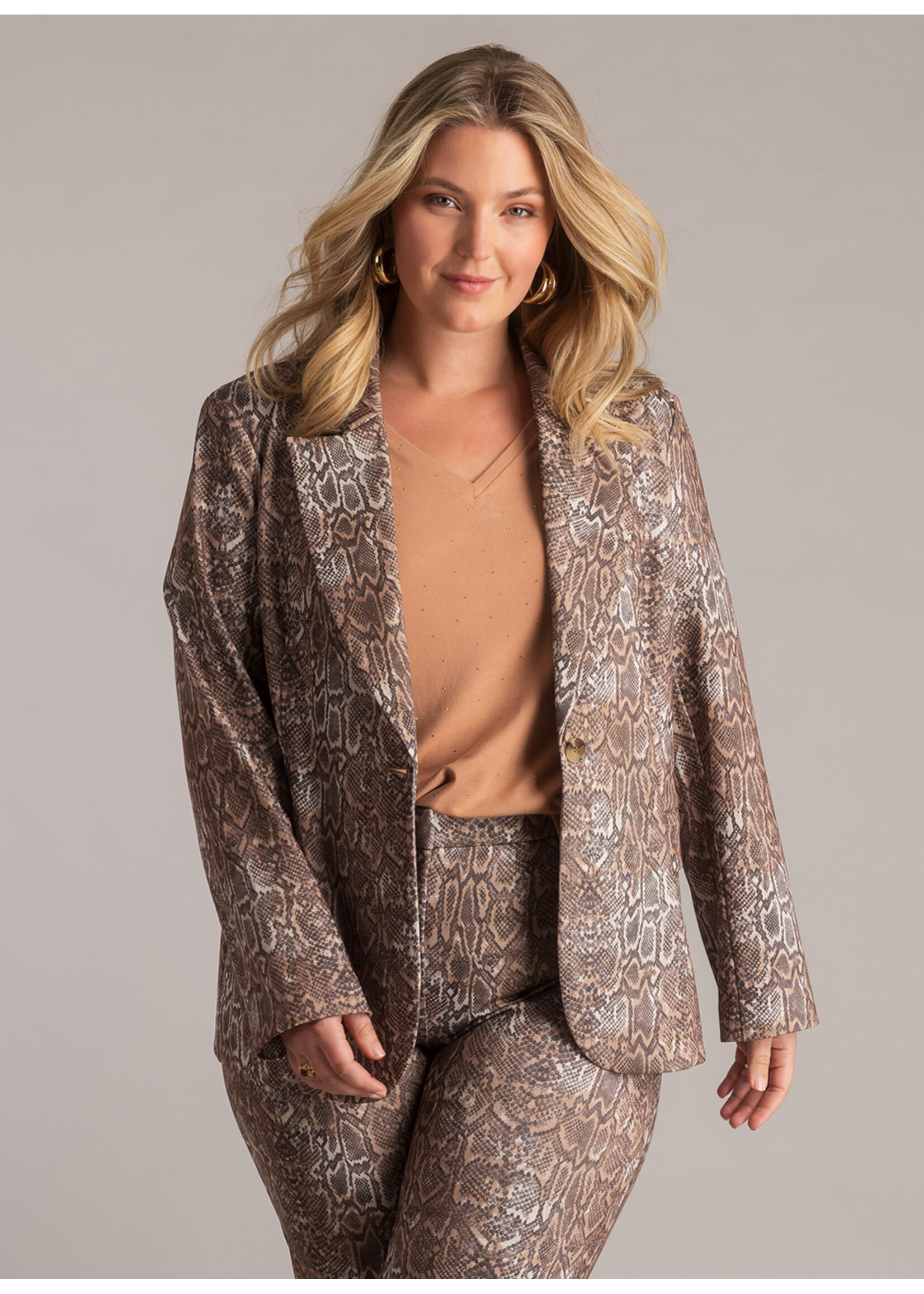 Yest Curve Yest Curve A006114 26.1.1