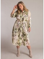 Yest Curve Yest Curve A006138 26.1.1