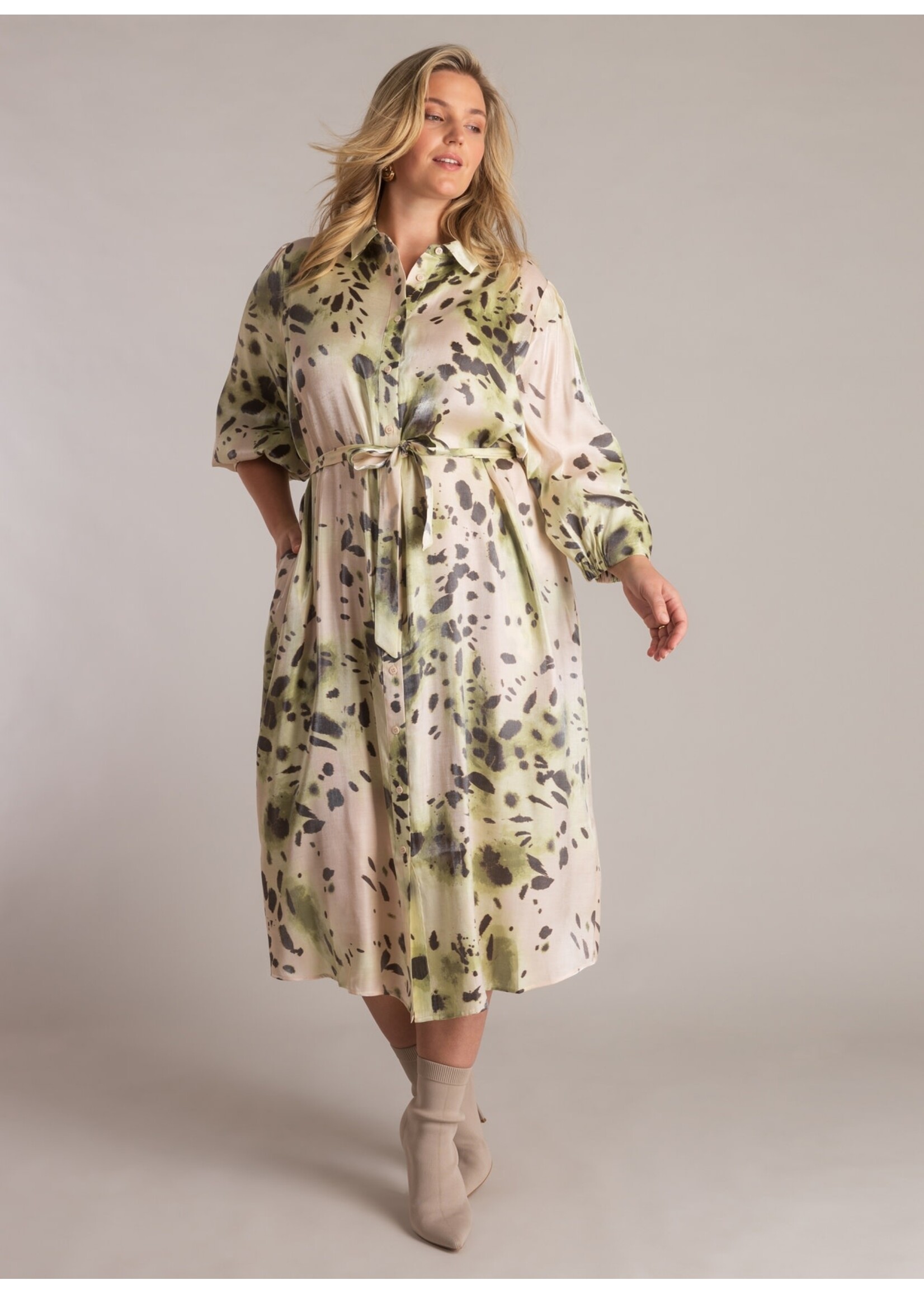 Yest Curve Yest Curve A006138 26.1.1