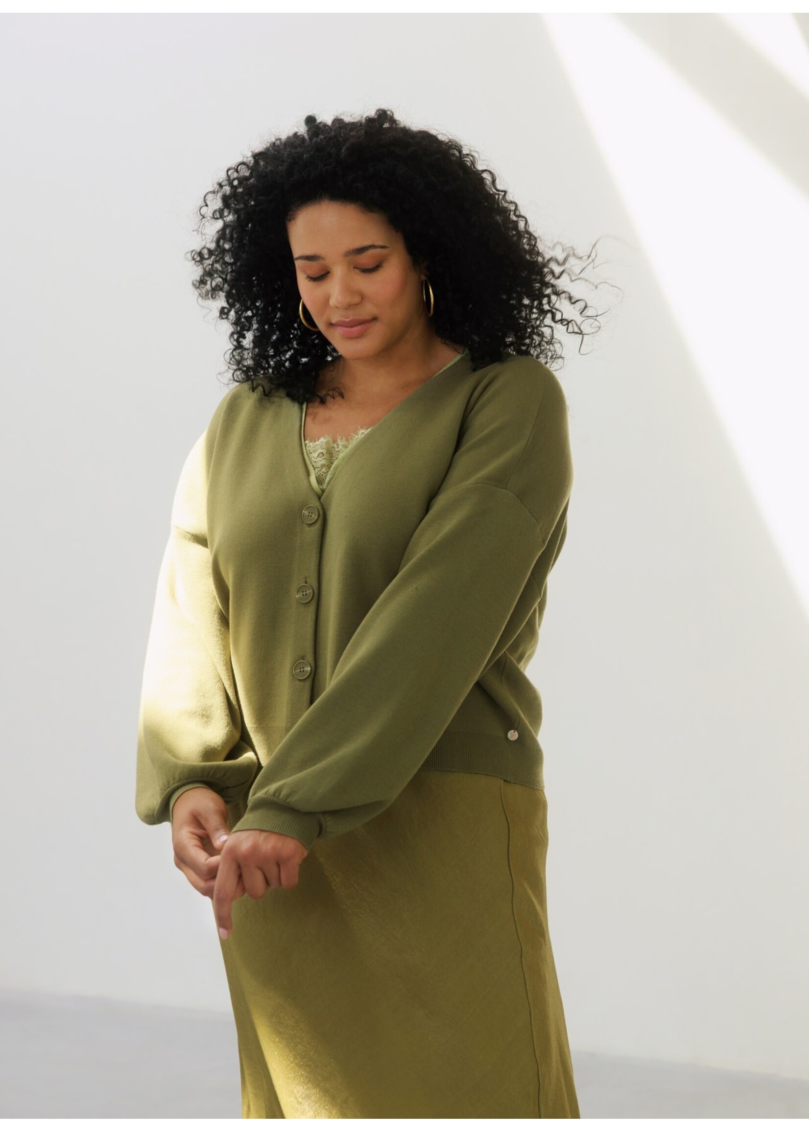 Yest Curve Yest Curve A006262 26.1.1