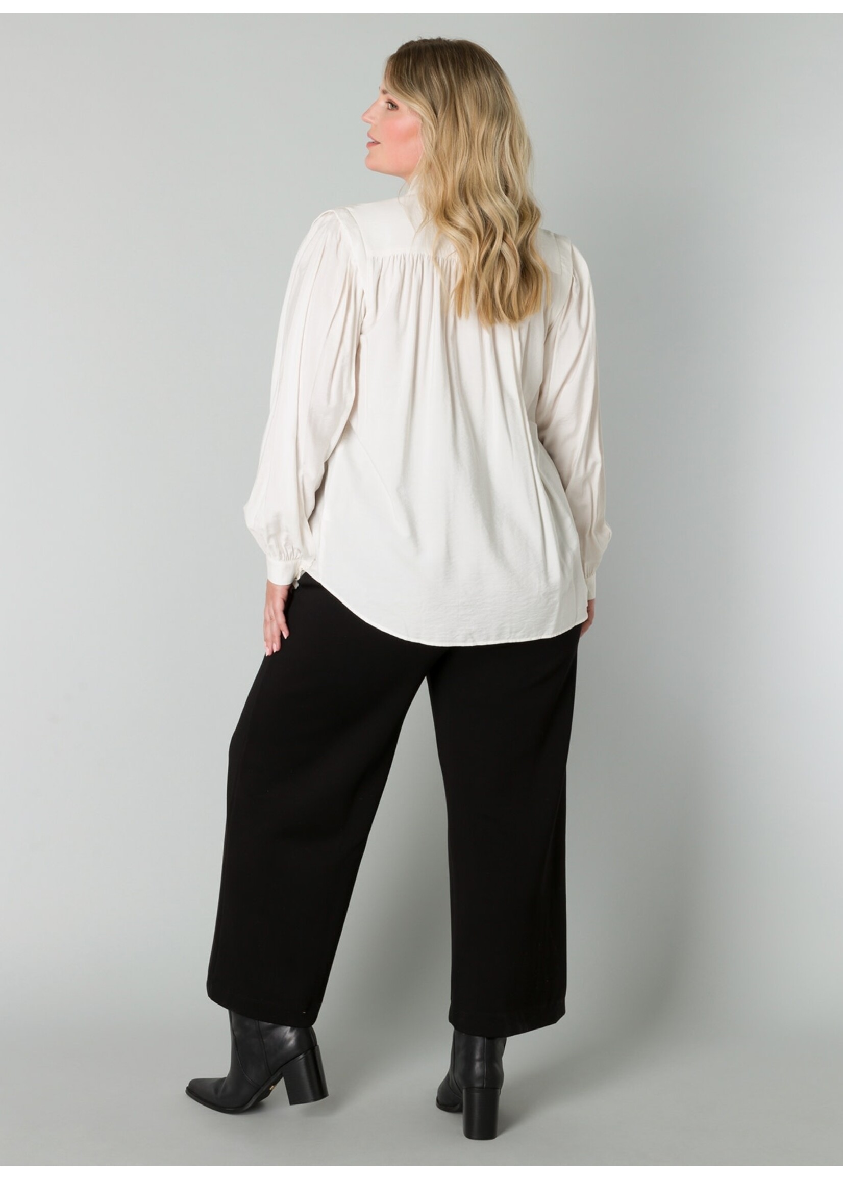 Yest Curve Yesta A004998 24.2.1