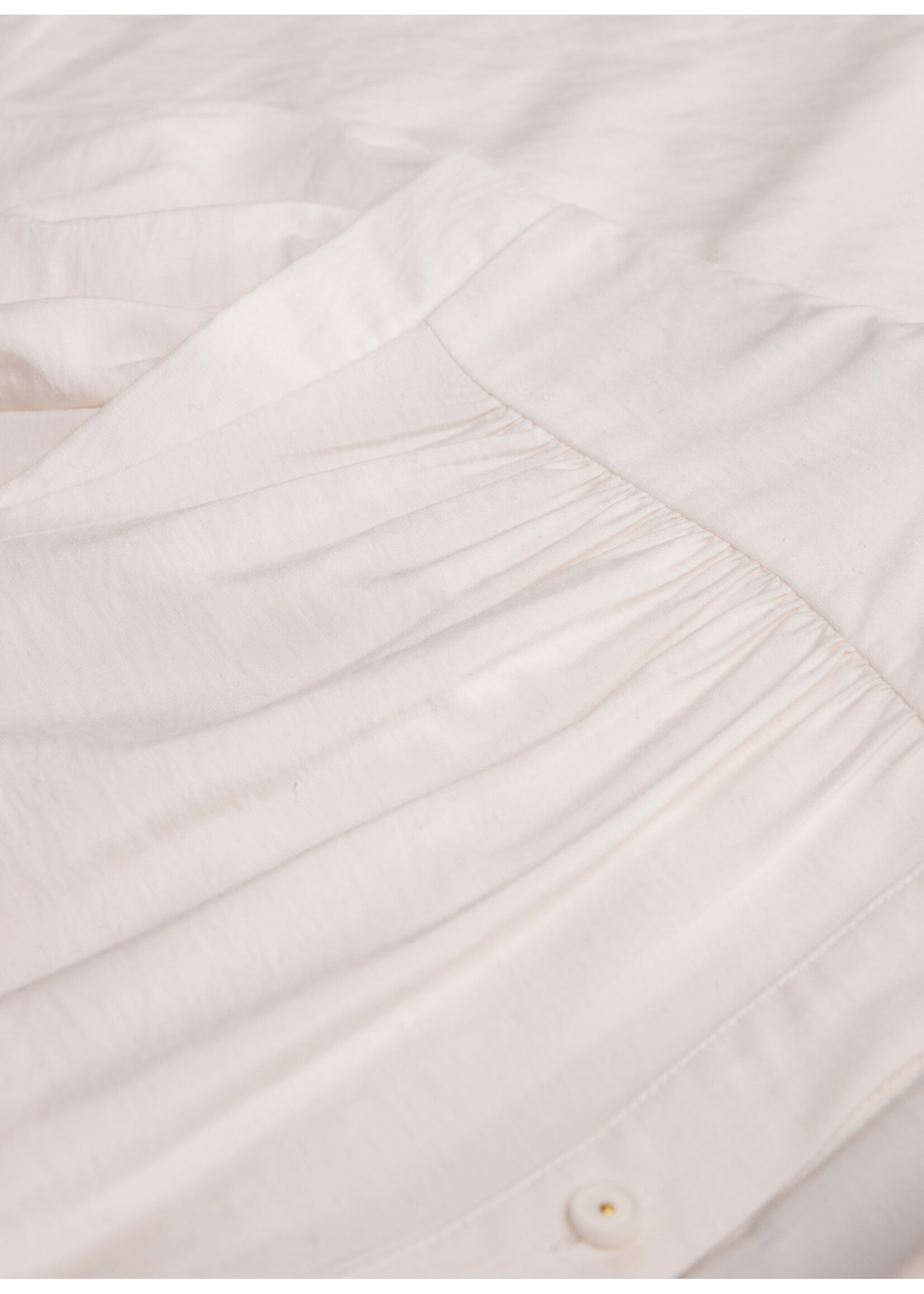 Yest Curve Yesta A004998 24.2.1