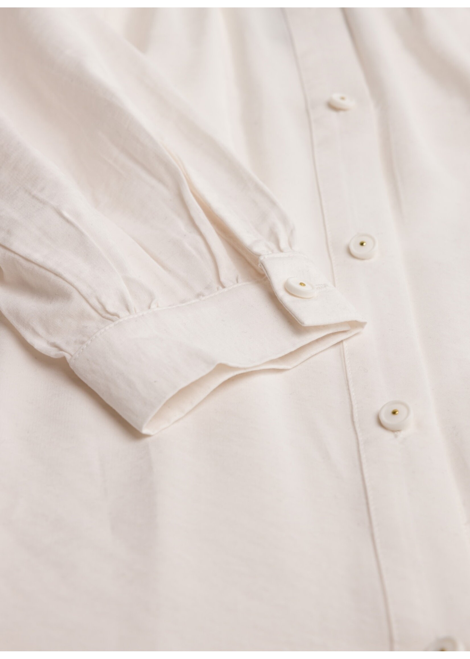 Yest Curve Yesta A004998 24.2.1