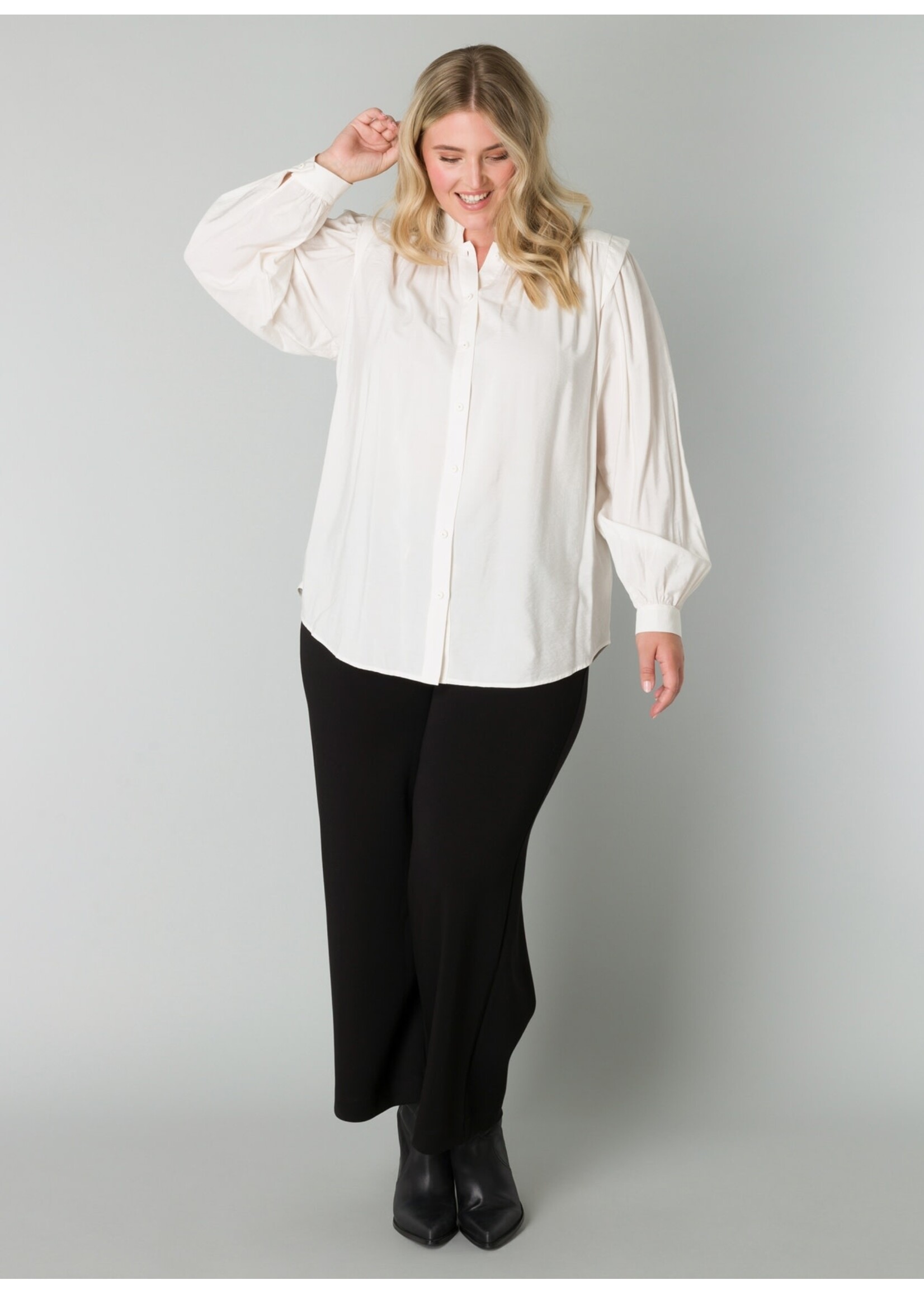 Yest Curve Yesta A004998 24.2.1