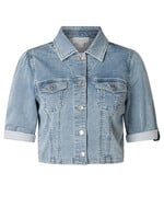 Yest Curve Yest Curve A006153 26.1.2